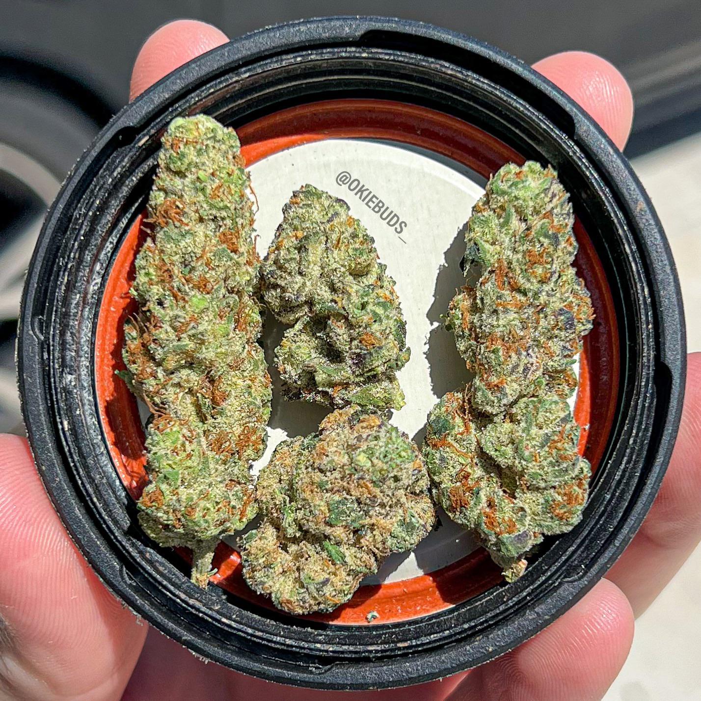 🥭 Guava Kush Mints Motavate 🍬 OKmarijuana