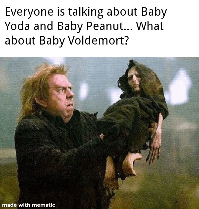 Baby Voldemort (OC) First Meme made by me r/memes