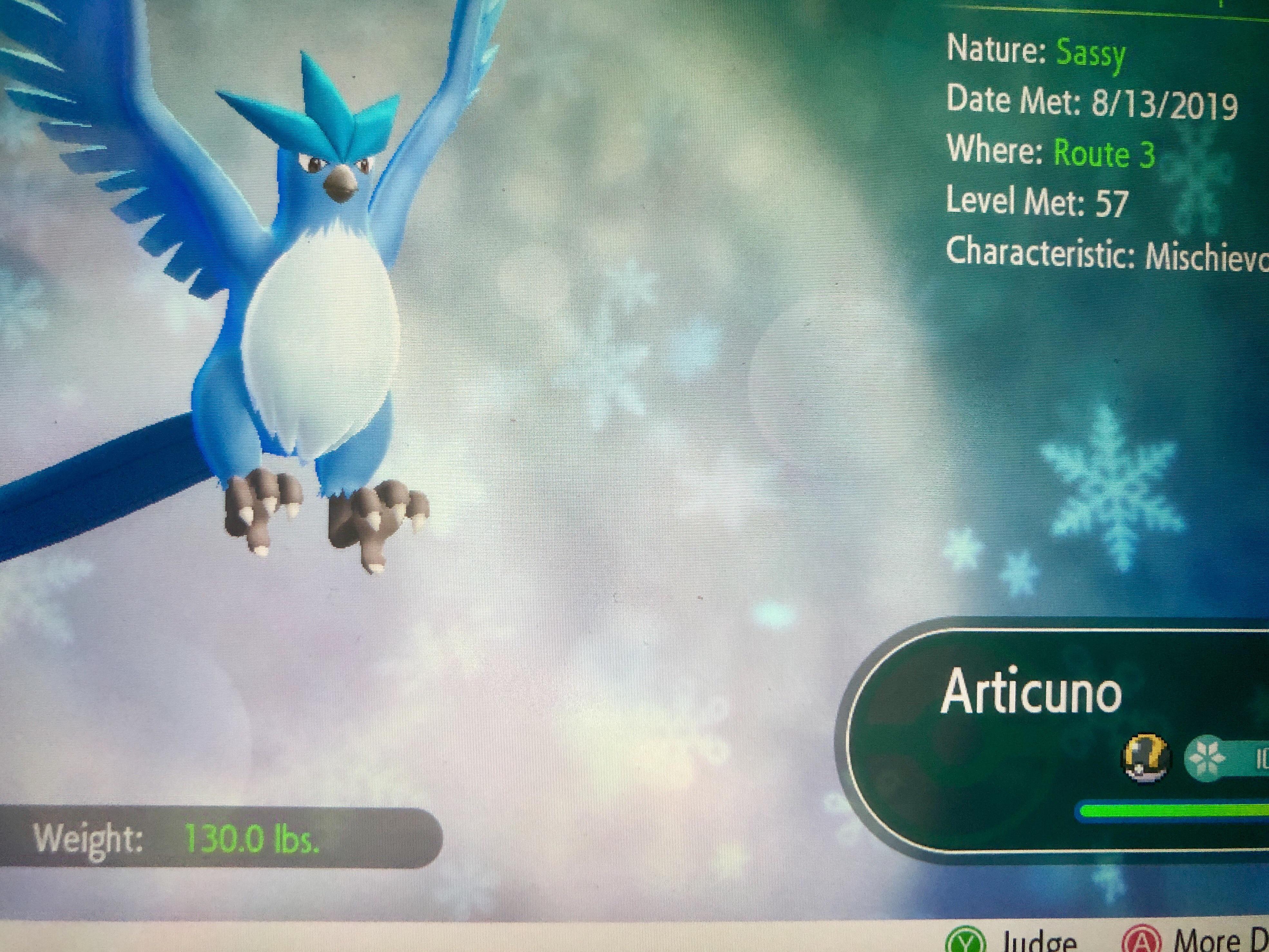 Caught an Articuno in Let’s go Pikachu on Route 3? Sorry for poor image