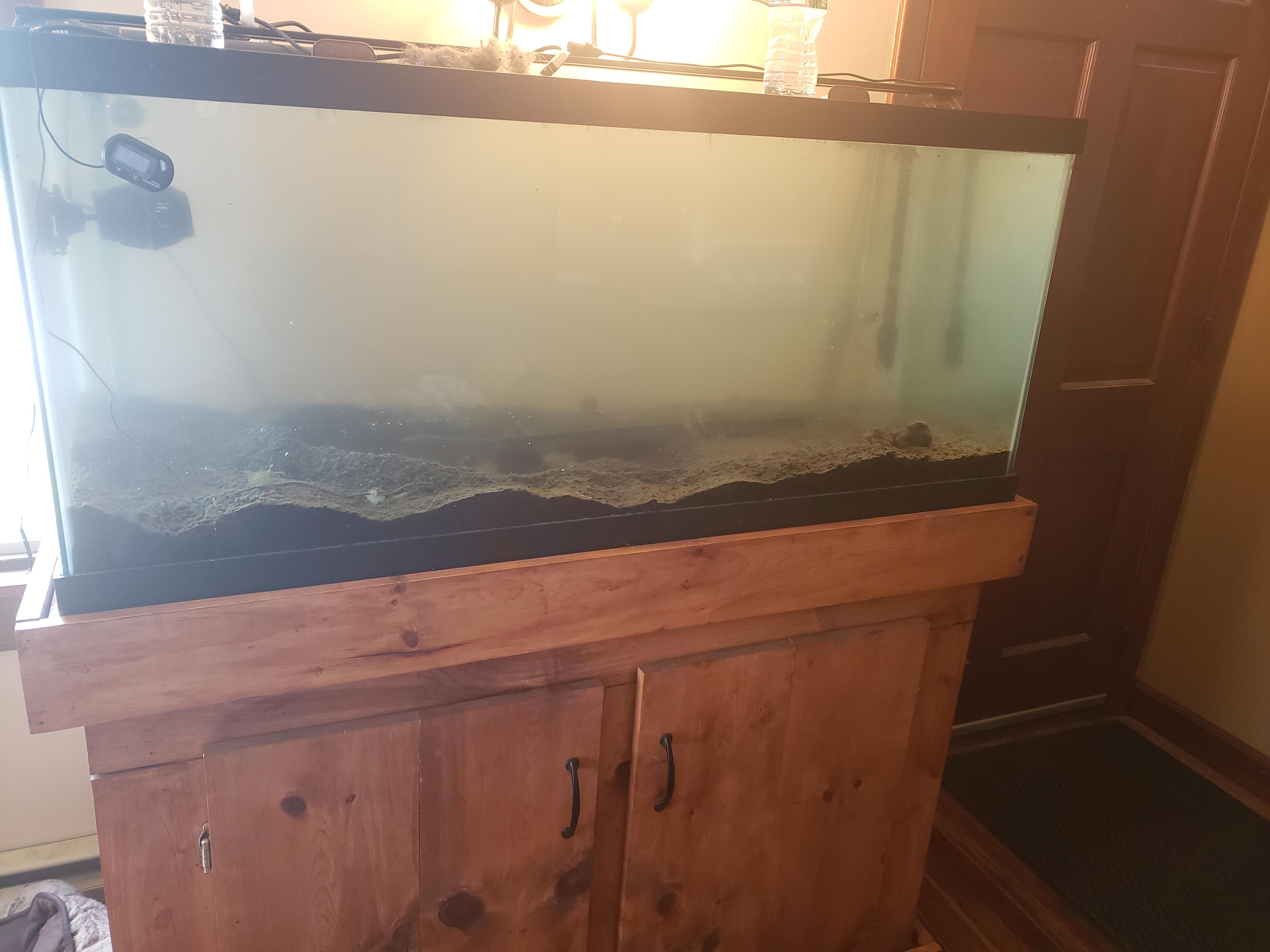 The end of a very rough week (heater failed while I was asleep and