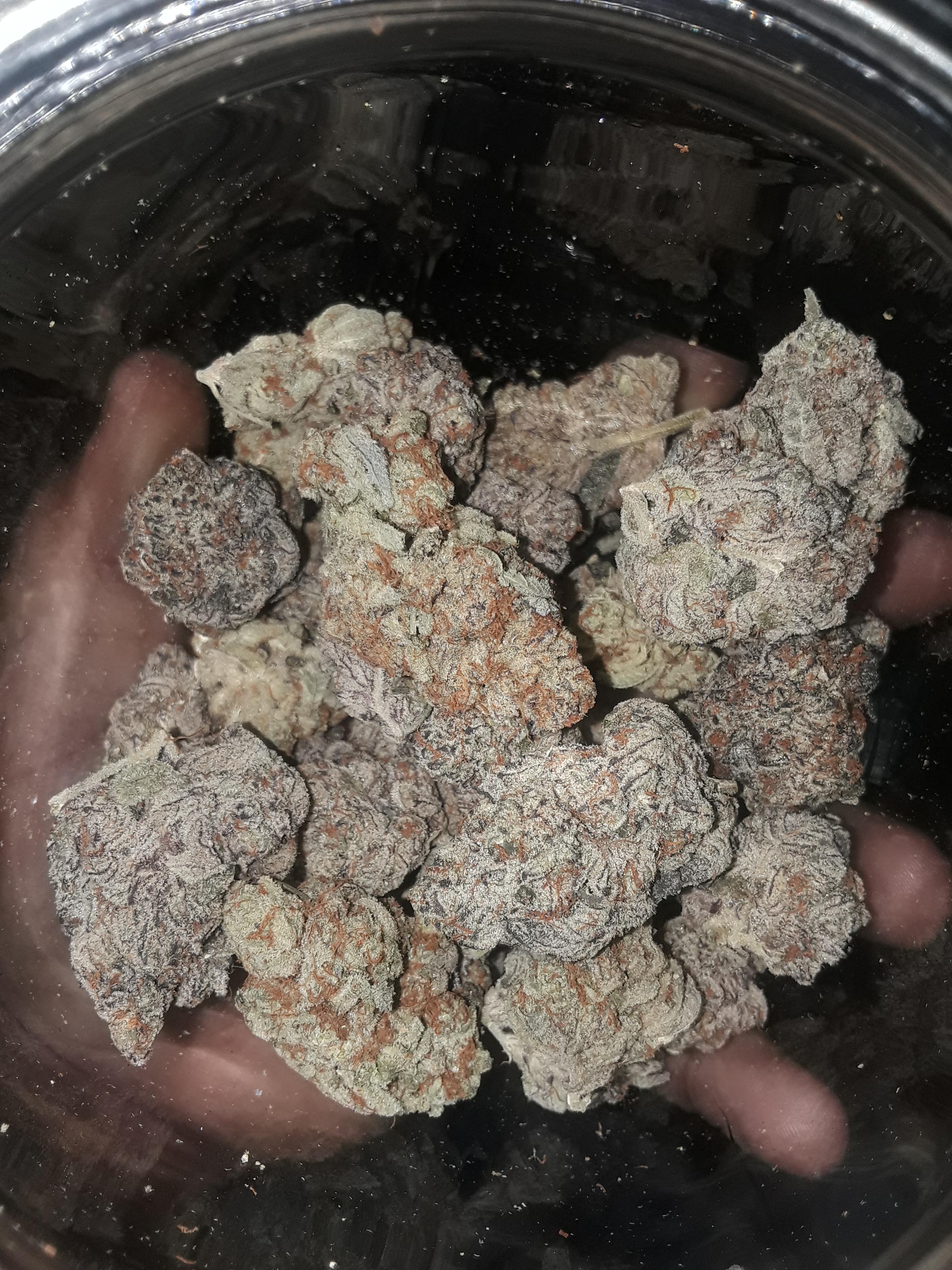 Ice Cream Cake & Sherbet Cookies r/trees