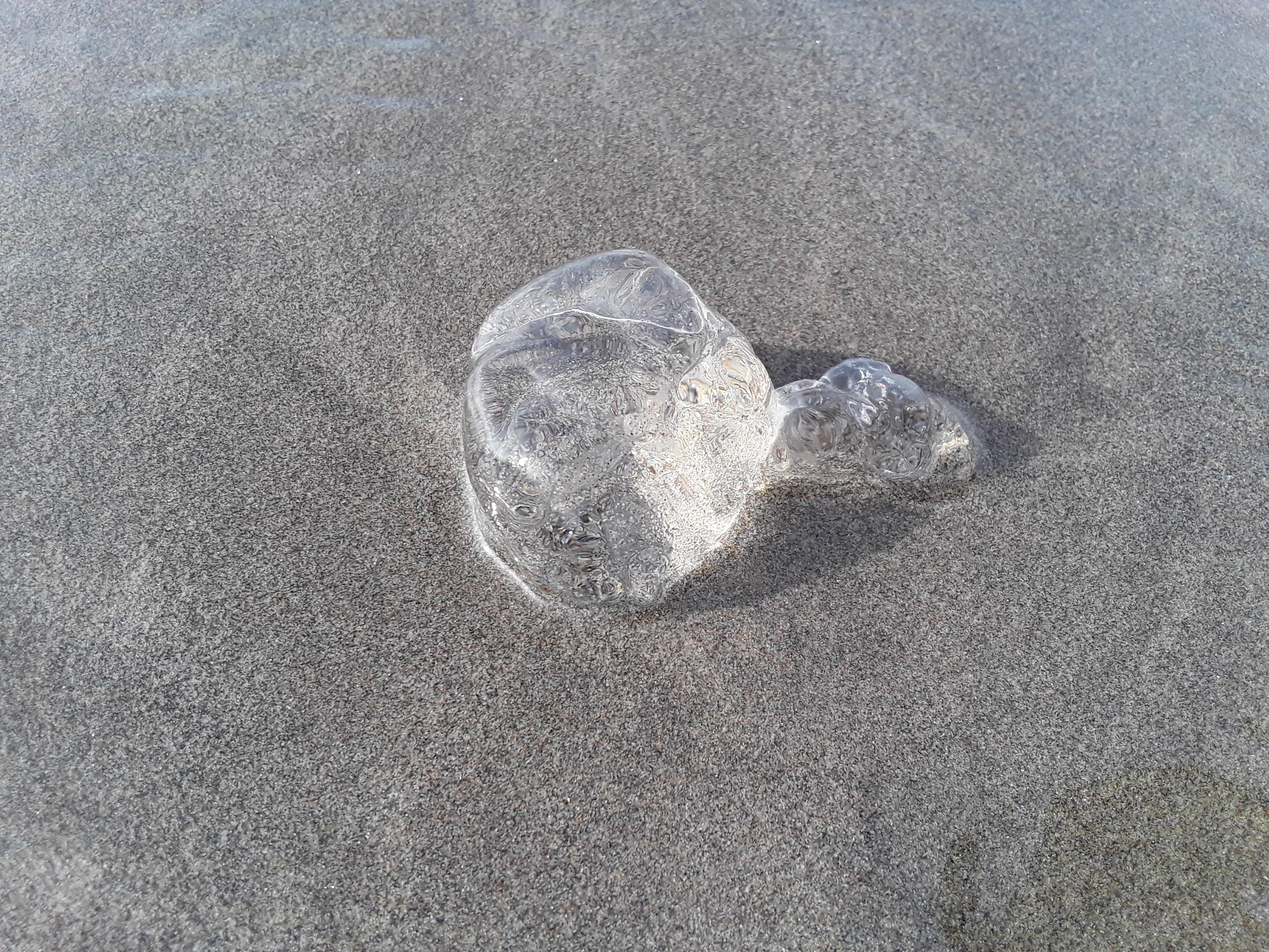 What are these jelly blobs? This one was about an inch tall and 34