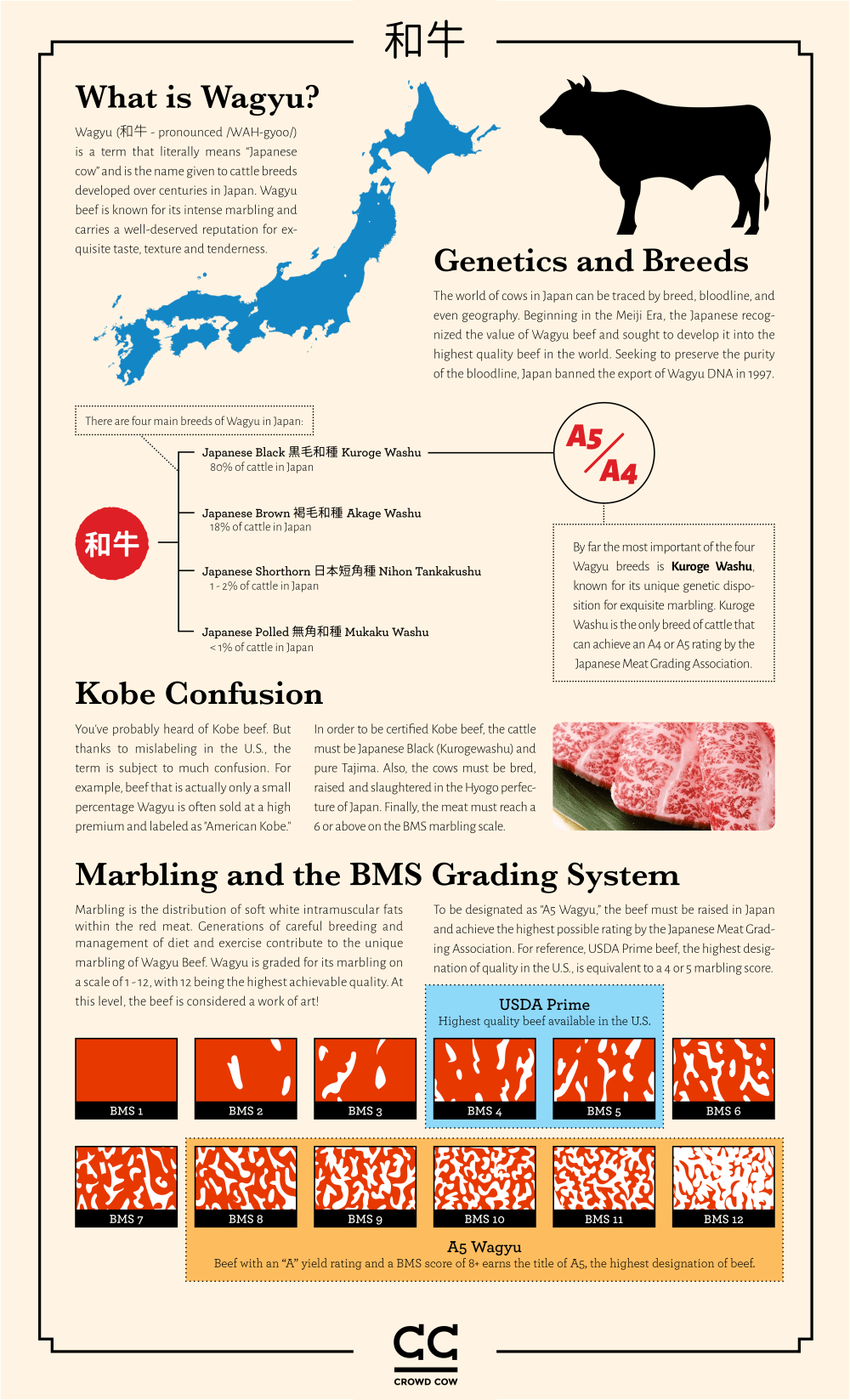 Beef Marbling Standard USDA vs WAGYU r/steak