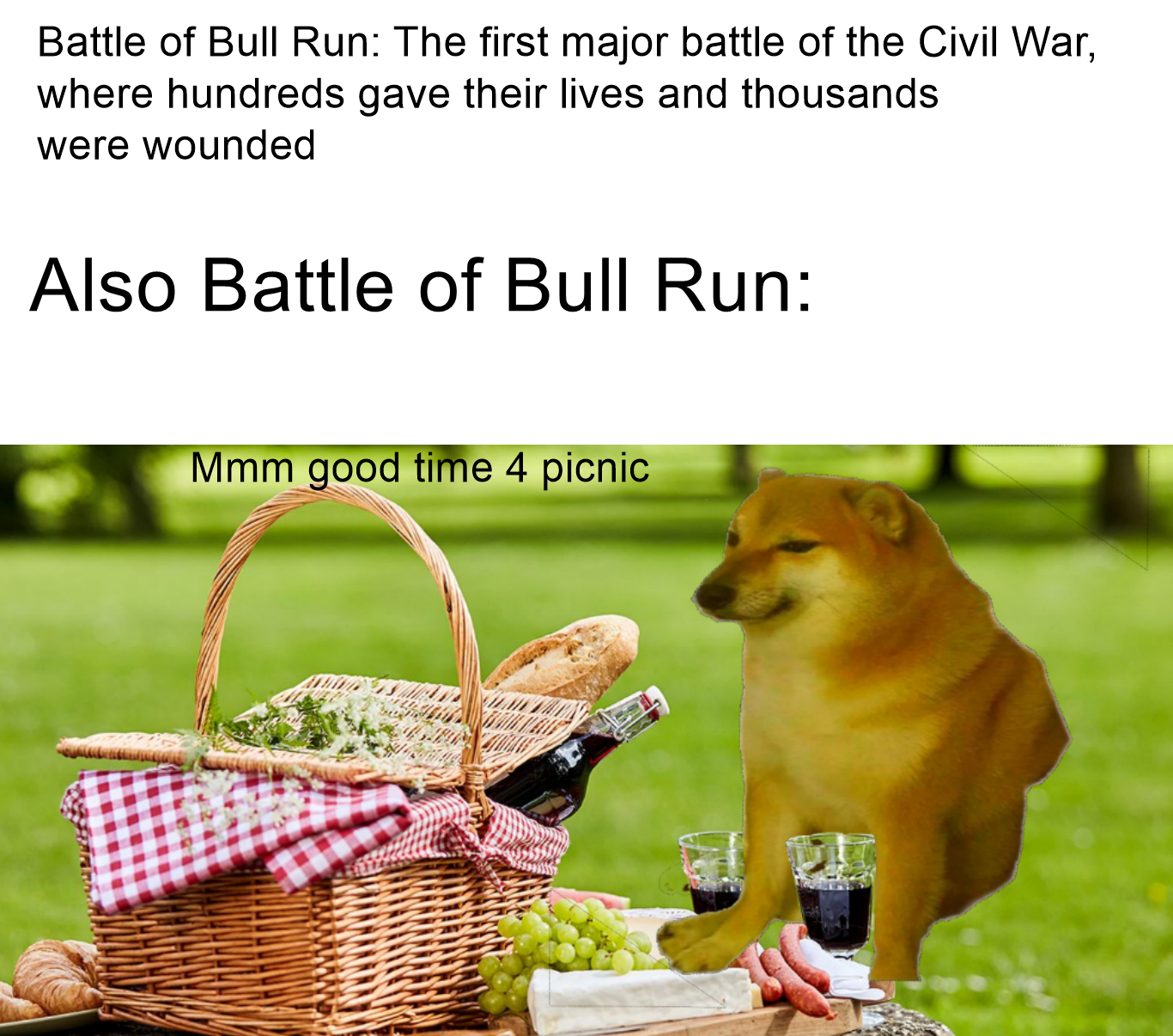 The Picnic Battle r/HistoryMemes