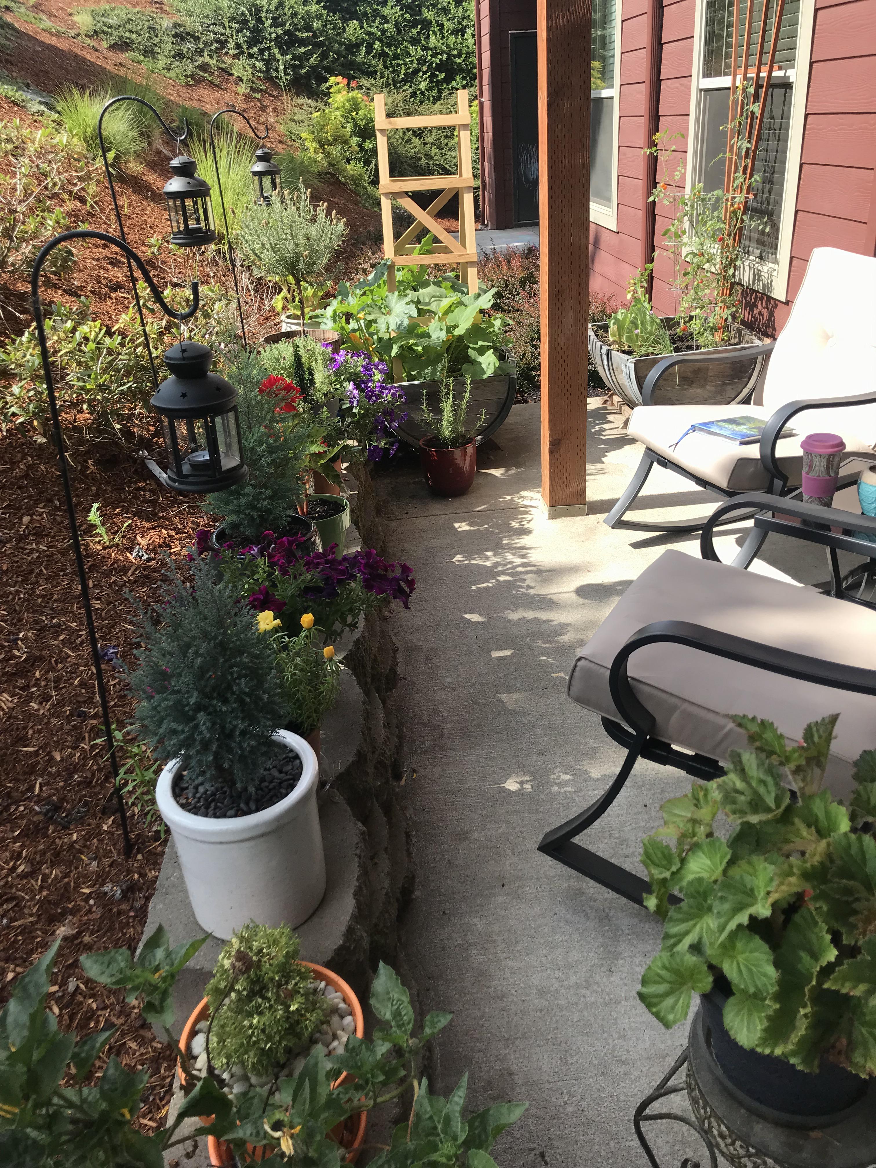 My perfect little apartment garden r/gardening