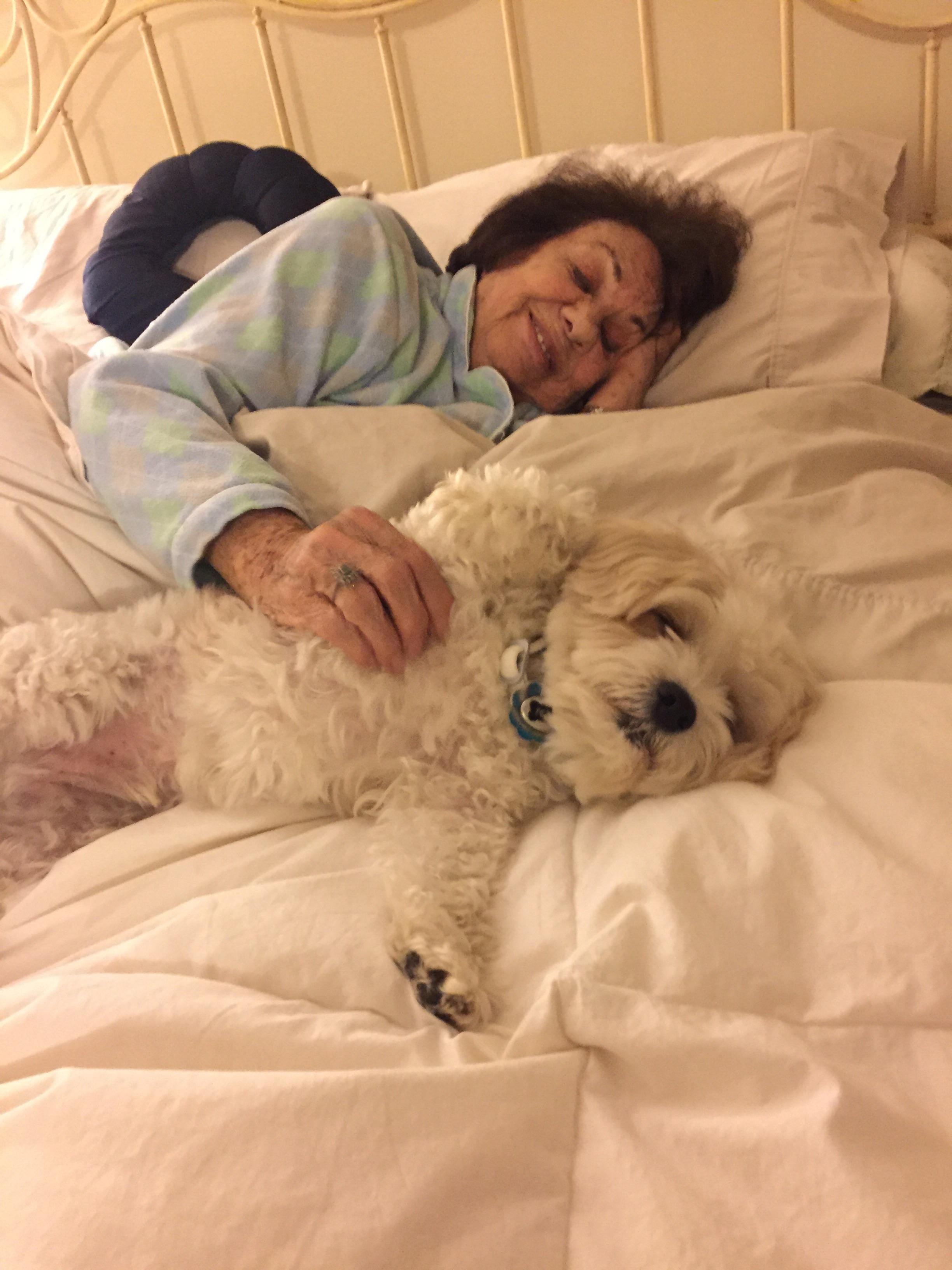 My dog loves it when my grandma visits! r/aww