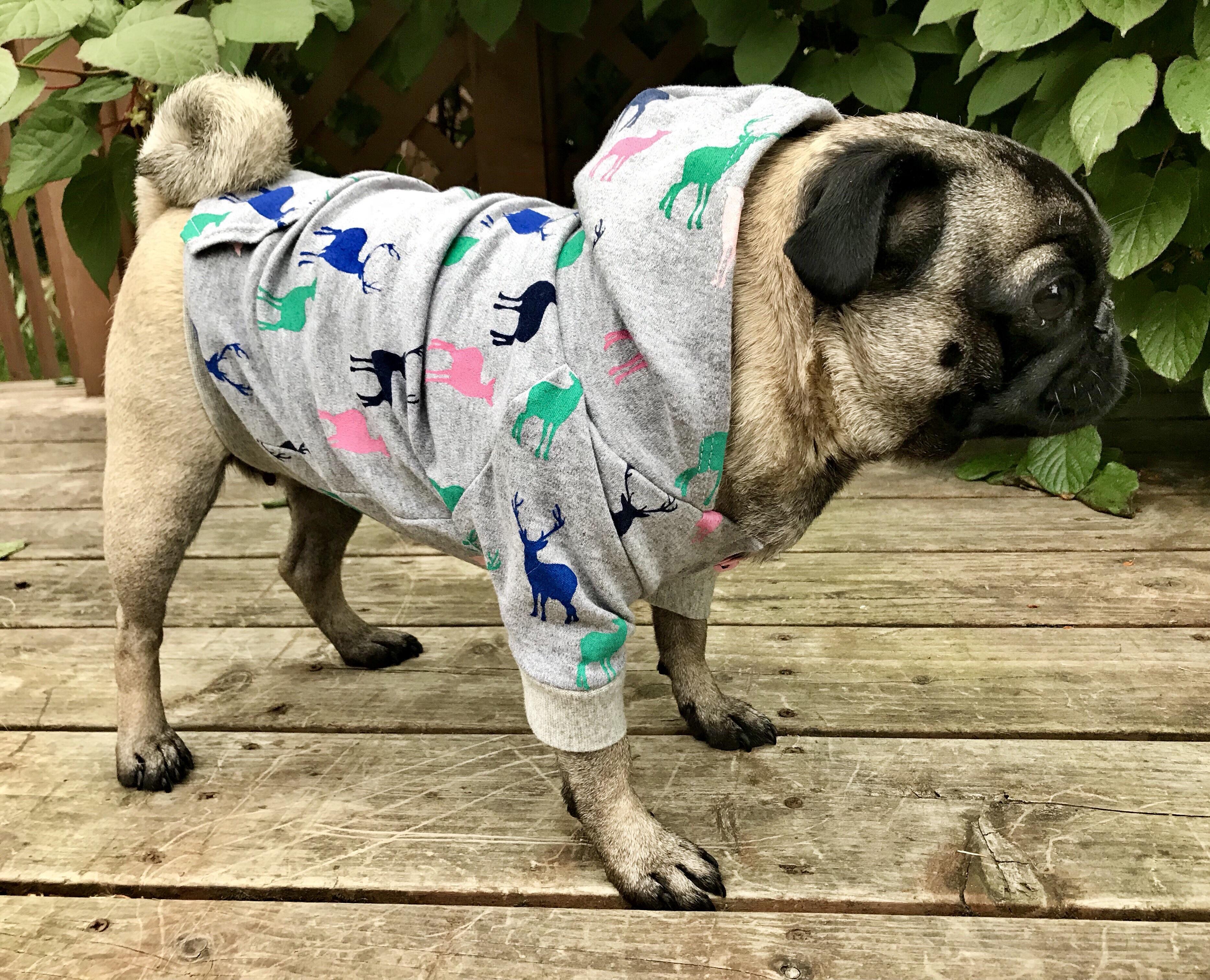 Zip up hoodie for my dog [KwikSew K4033] first ever zipper insertion