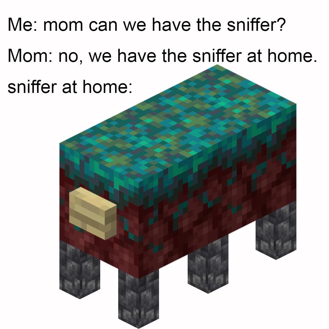 the sniffer already exists guys r/MinecraftMemes