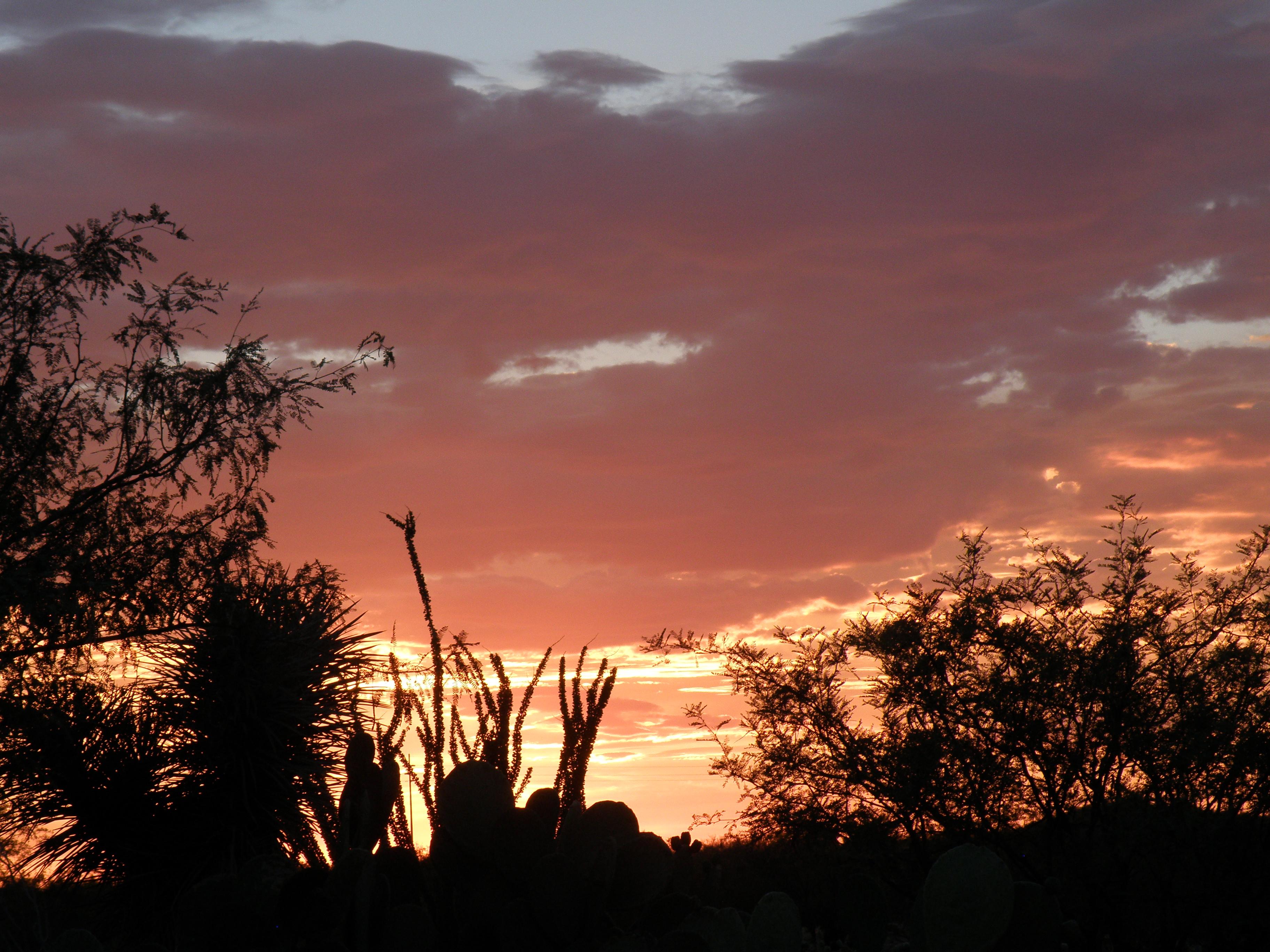 July in Congress, Arizona [OC] [3648x2736] r/SkyPorn