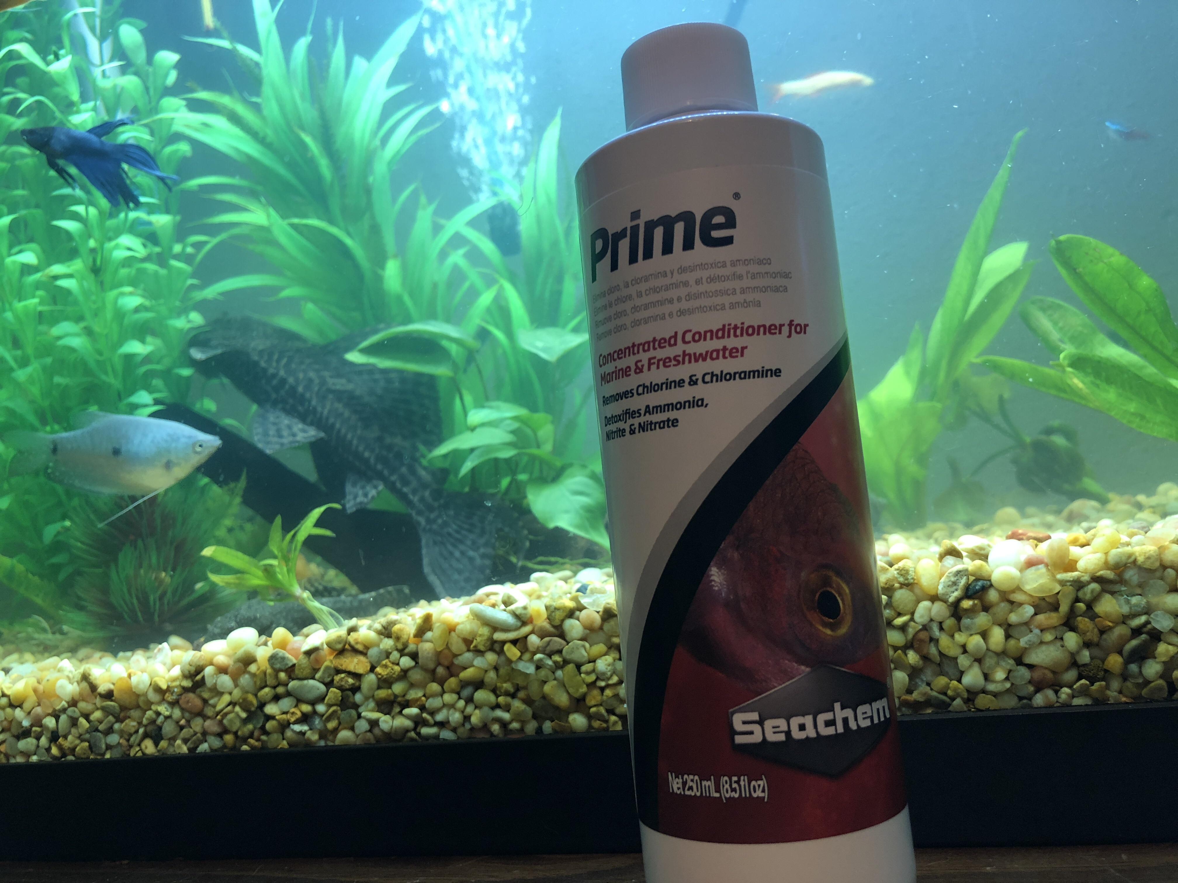 Best water conditioner r/Aquariums