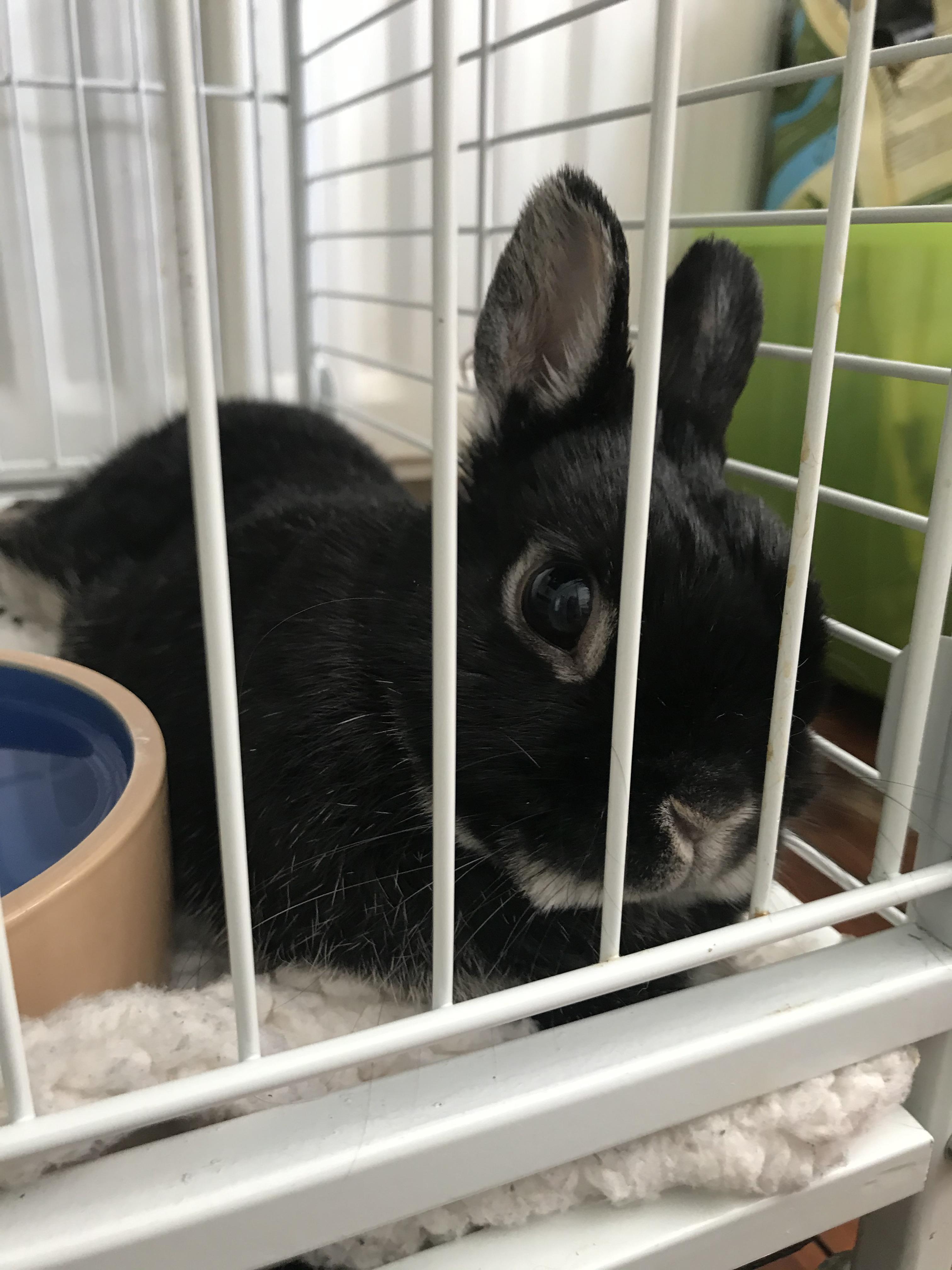 My little boy has developed a head tilt, it’s scary but he’s getting