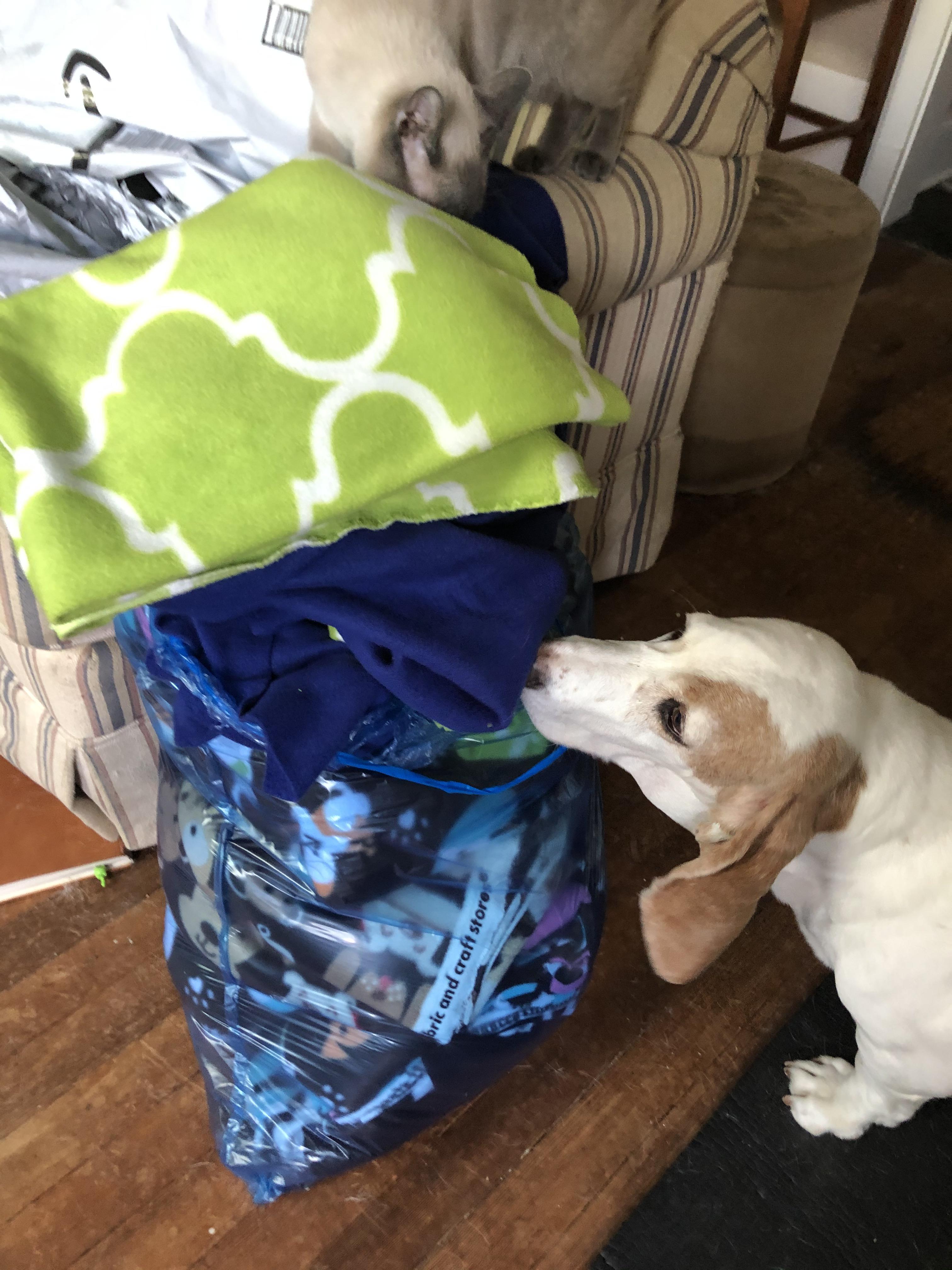 Ideas needed!! I have a bunch of extra fleece I’m making dog blankets