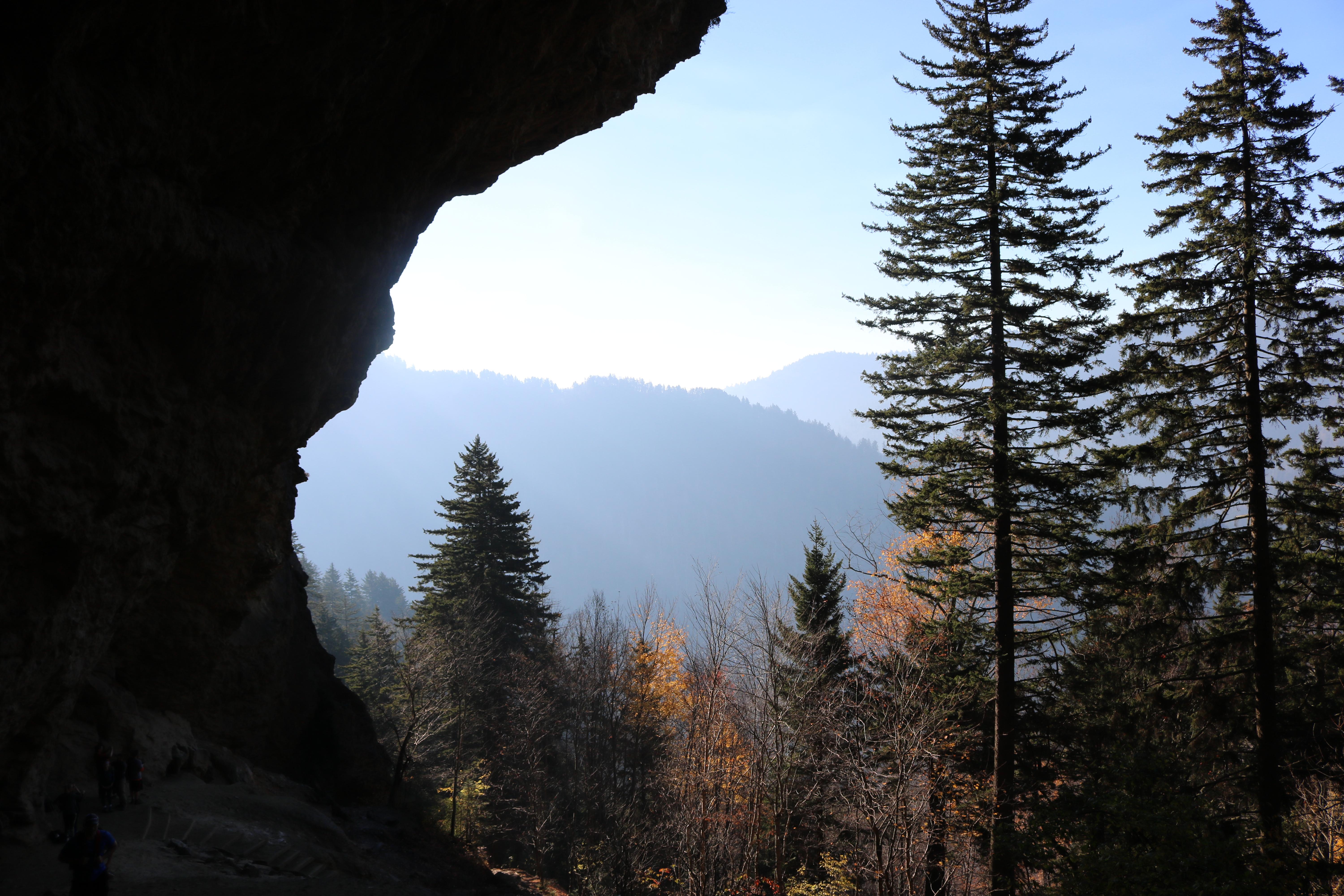 Alum Cave Trail (Smoky Mountains), Tennessee, USA r/hiking