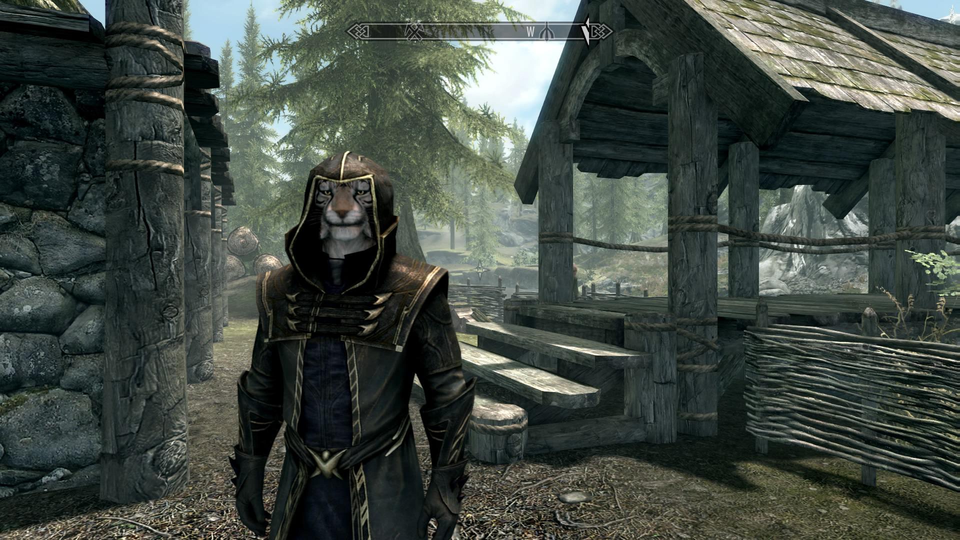 New Khajiit destruction Mage in honour of the Anniversary edition. r