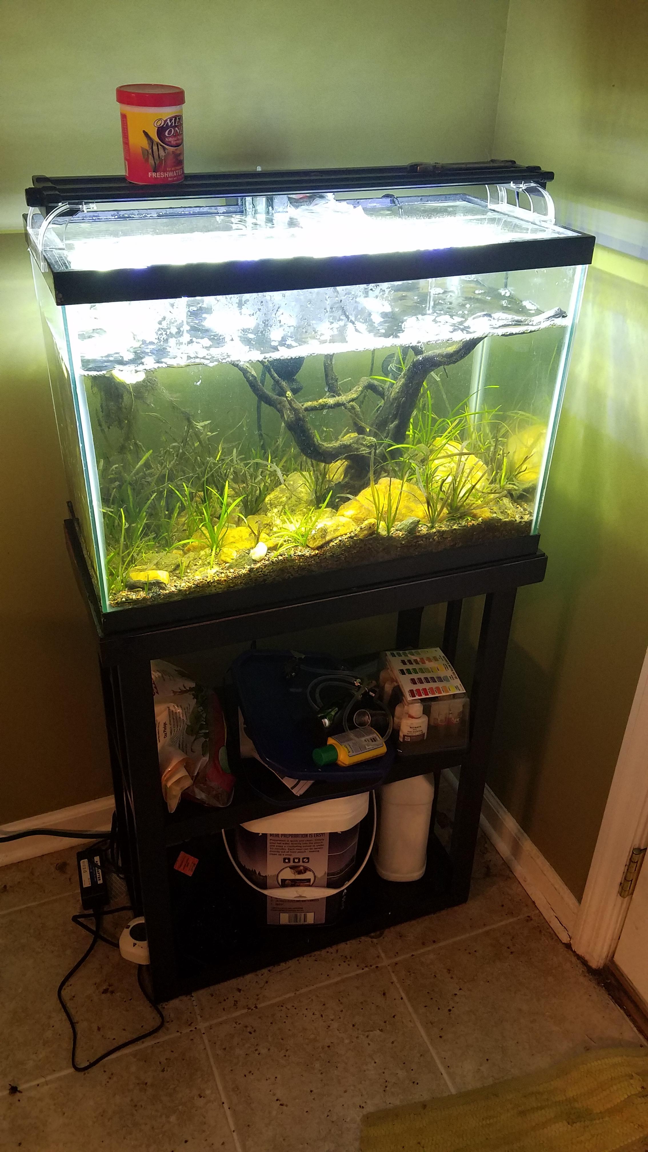 [FS] Athens, GA 20 gallon with stand, good light, heater, aquaclear