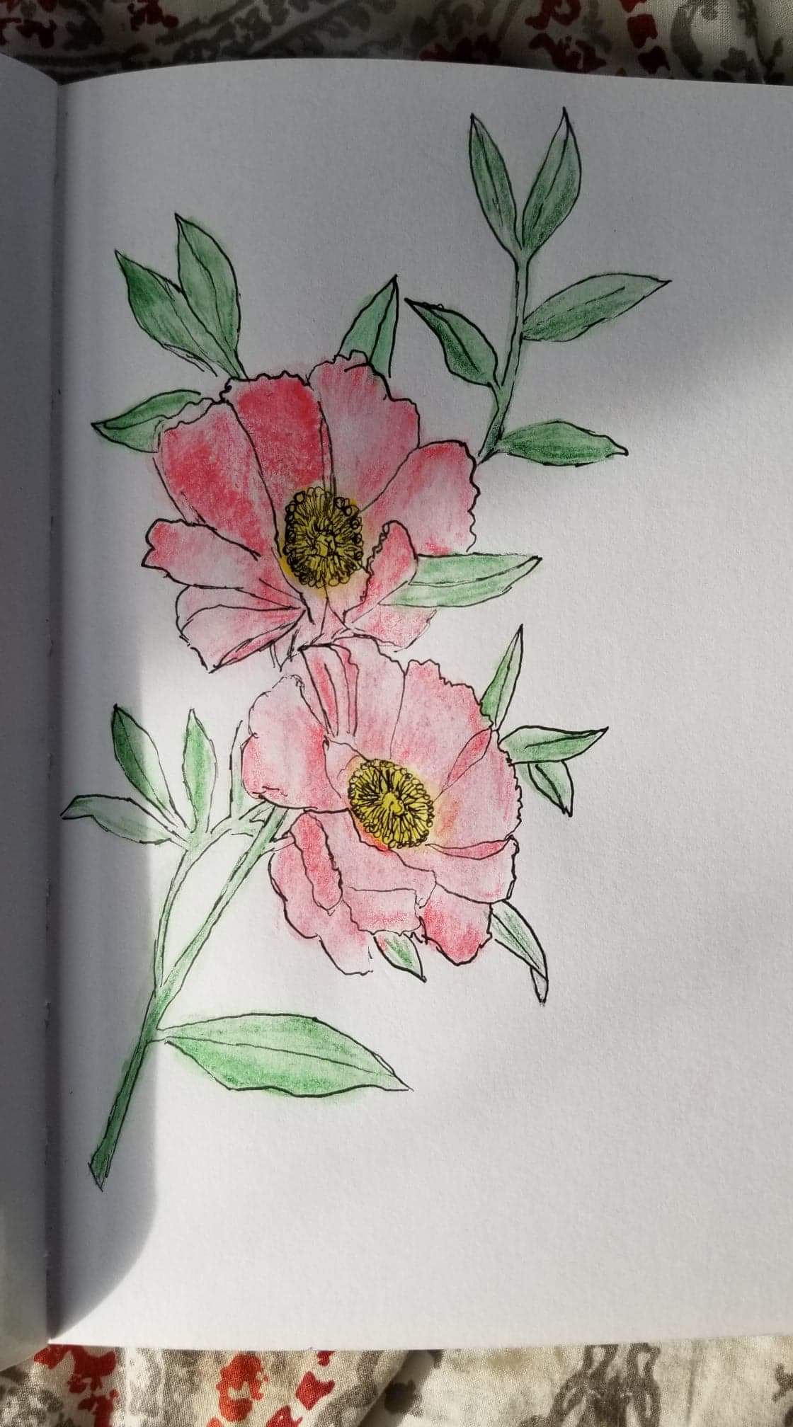 Watercolor pencil flowers r/drawing
