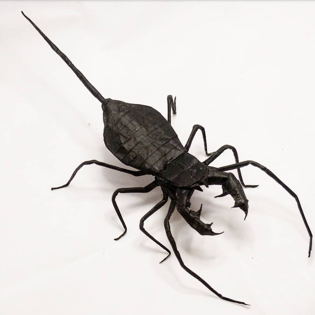 Origami Vinegaroon, designed by Kota Imai and folded by me from one