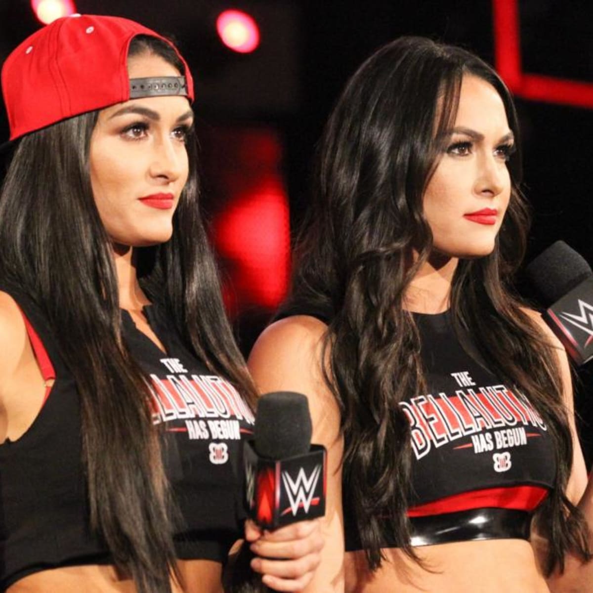 Best The Bella Twins Posts - Reddit