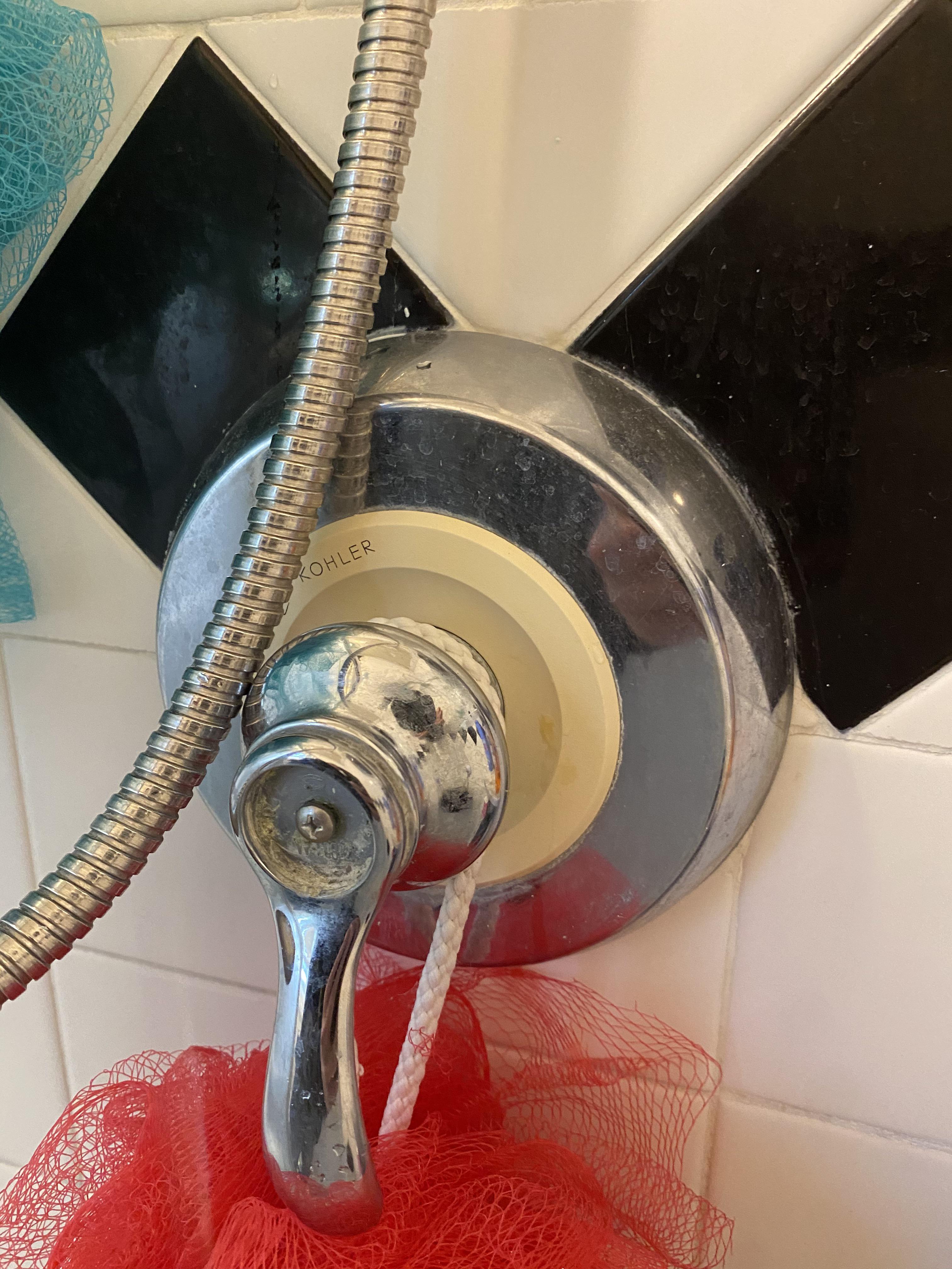 Can anyone tell me what kind of Kohler shower diverter cartridge these