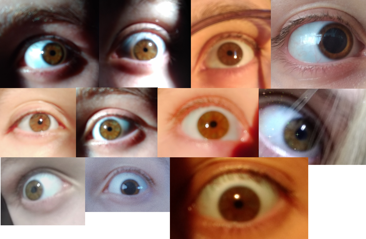 Hi guys! I'm unsure if my eyes are amber or something similar r/eyes