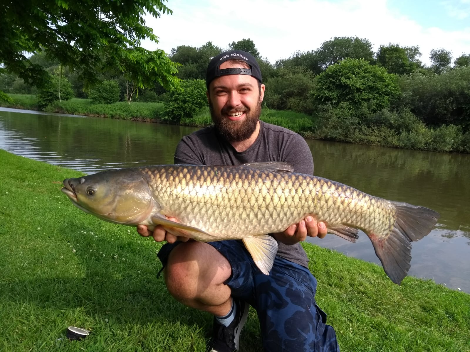 Huge Grass Carp