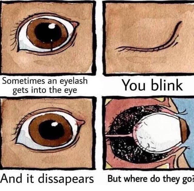 Now my eyes itch, great... r/MakeMeSuffer