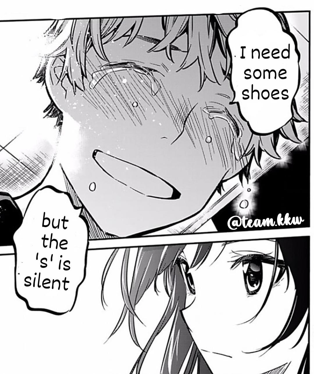 My dog ate my shoes today