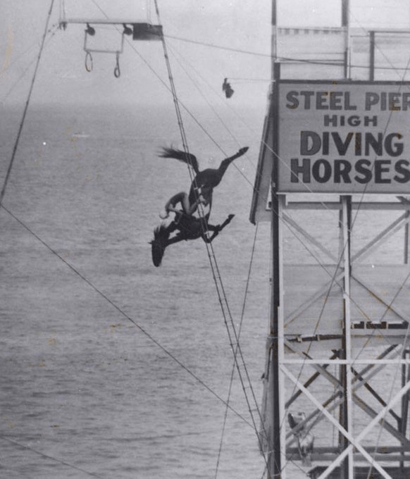 Horse diving was a popular attraction in the mid 1880s interestingasfuck