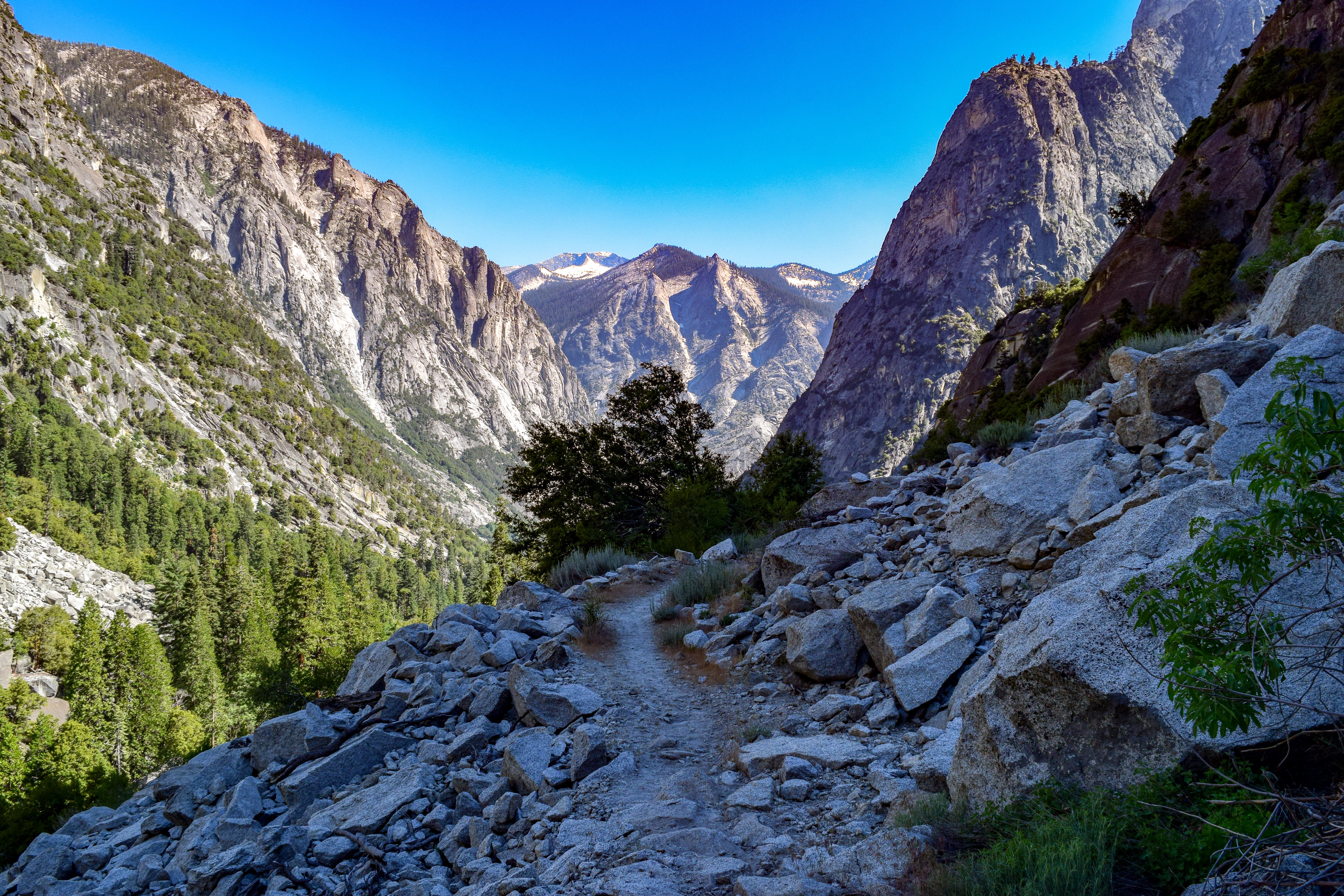 Kings Canyon National Park, CA [OC] [6000x4000] r/EarthPorn