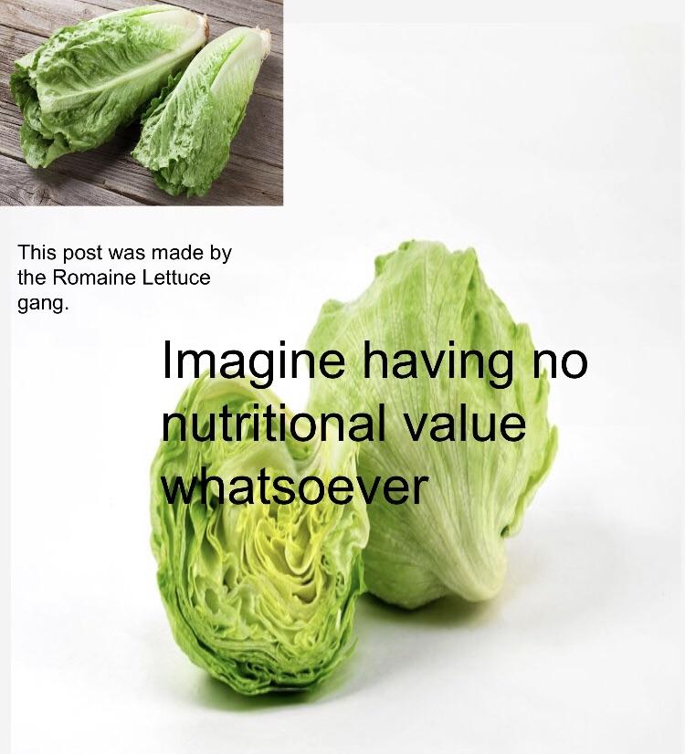 Lettuce memes bois r/dankmemes