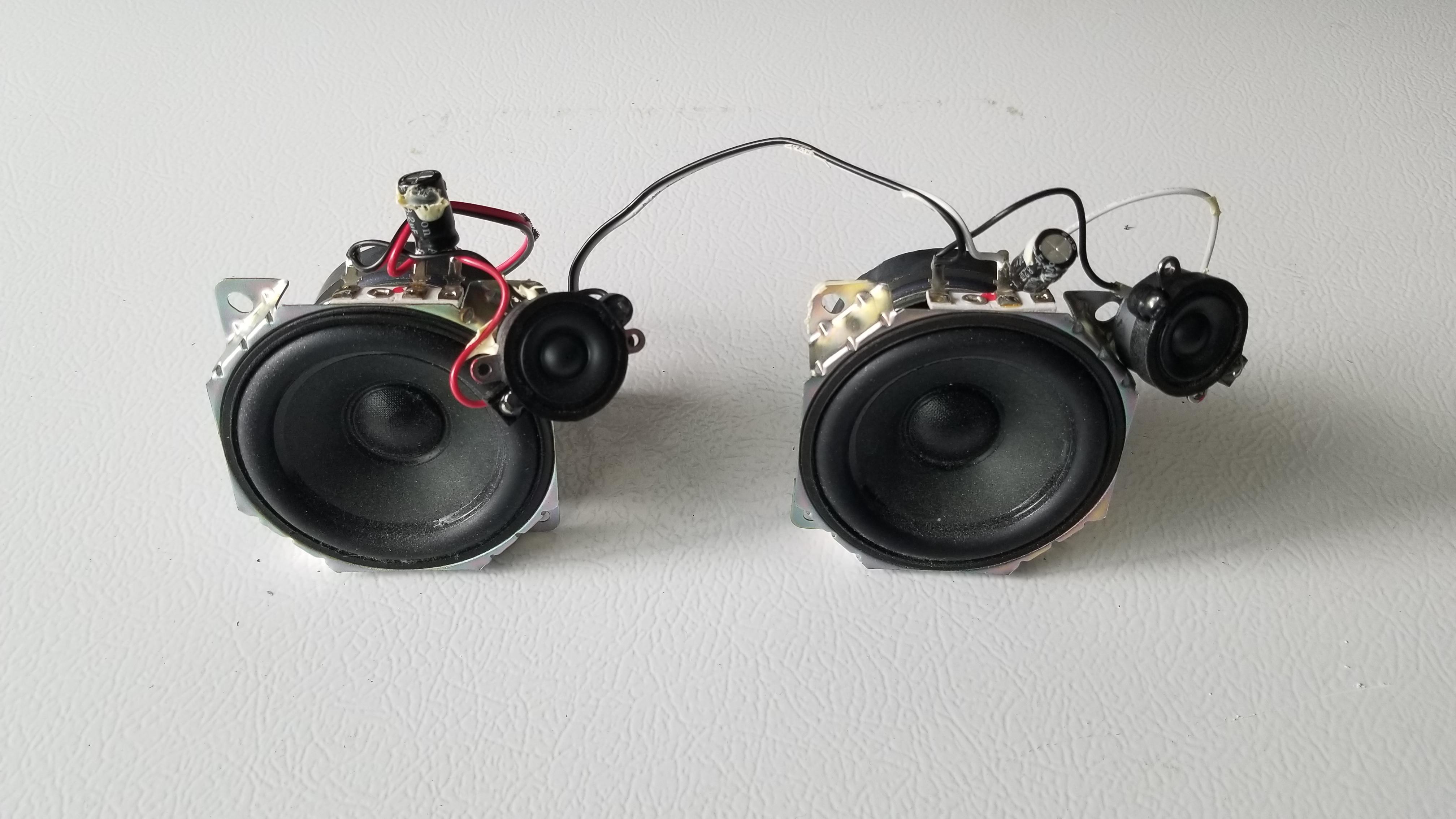 Little 20W speakers I got out of a water logged bluetooth radio
