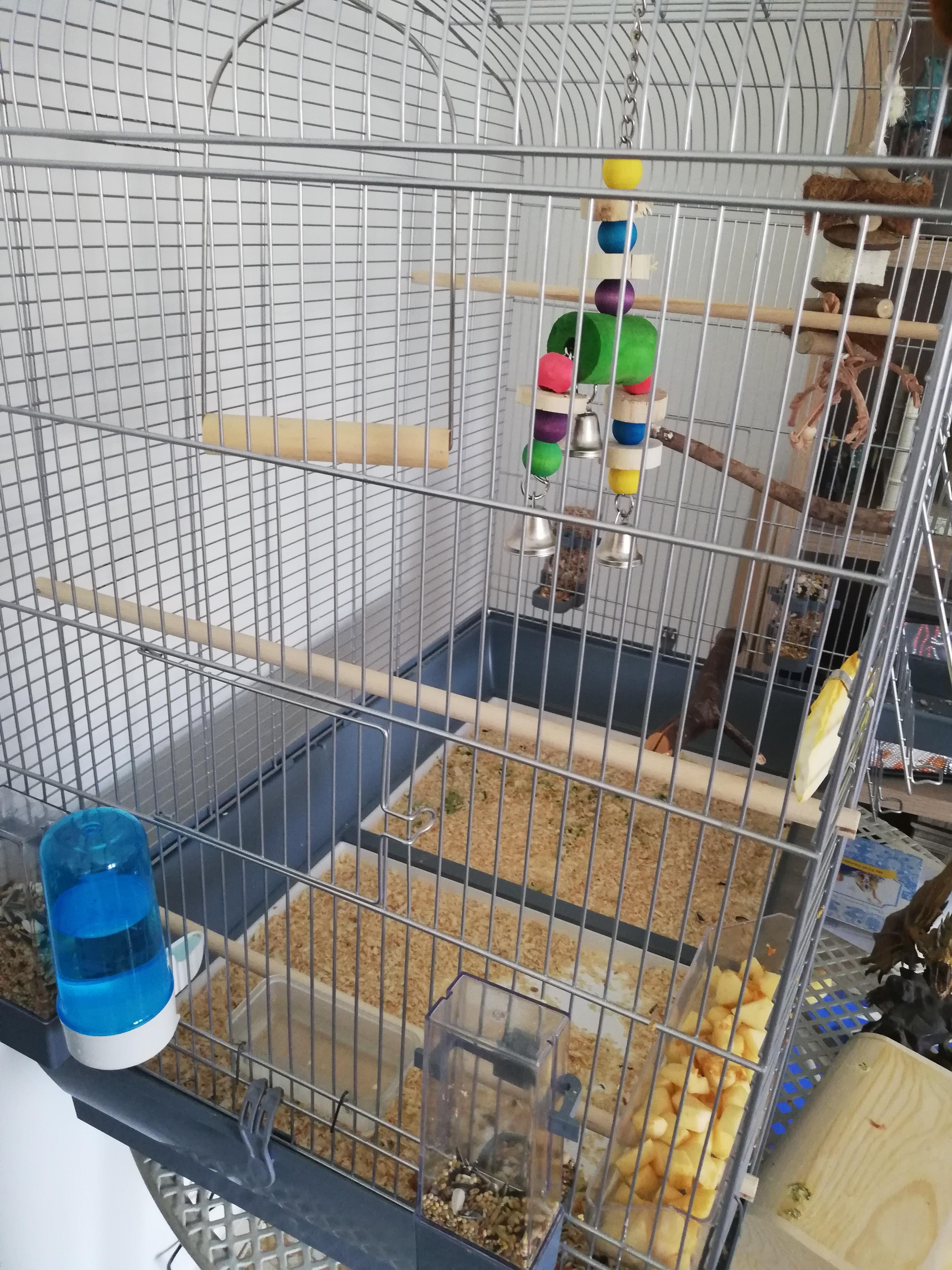 Rate my cage setup r/parrots