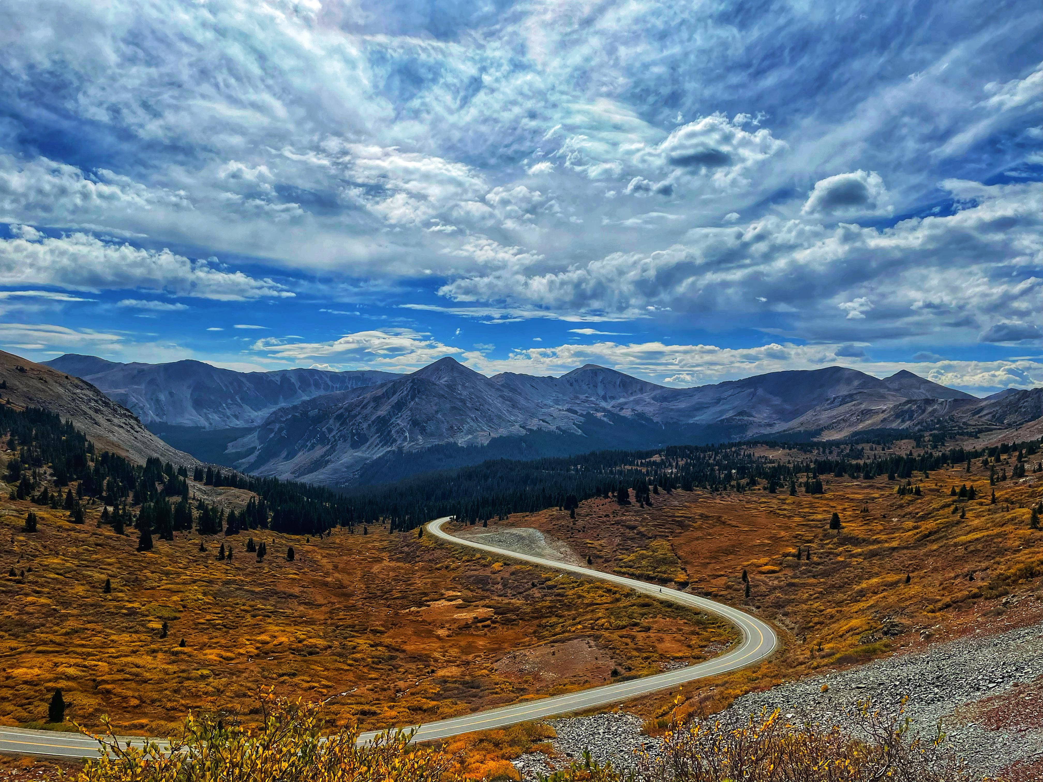 Close to Buena Vista, Colorado r/CampCooper