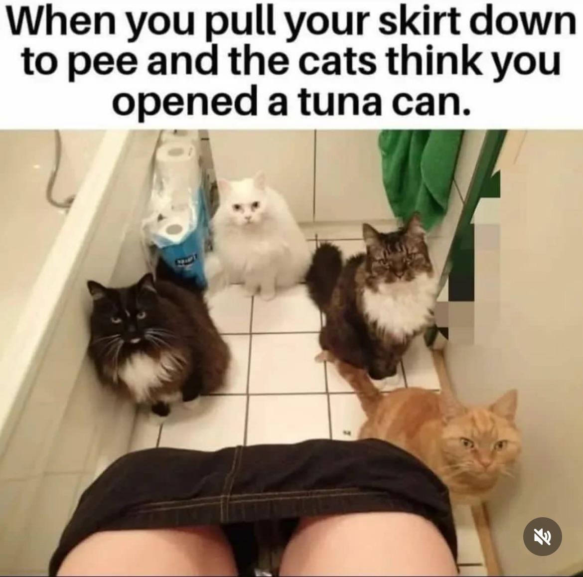 We all smell like tuna guys r/NotHowGirlsWork