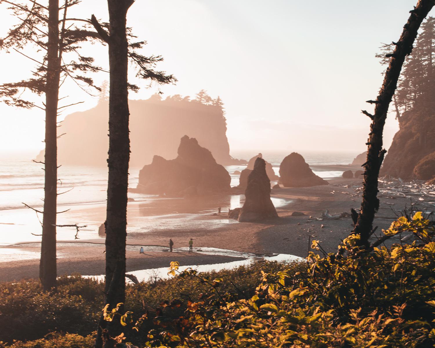Dreaming of nice weather at Ruby Beach r/Seattle