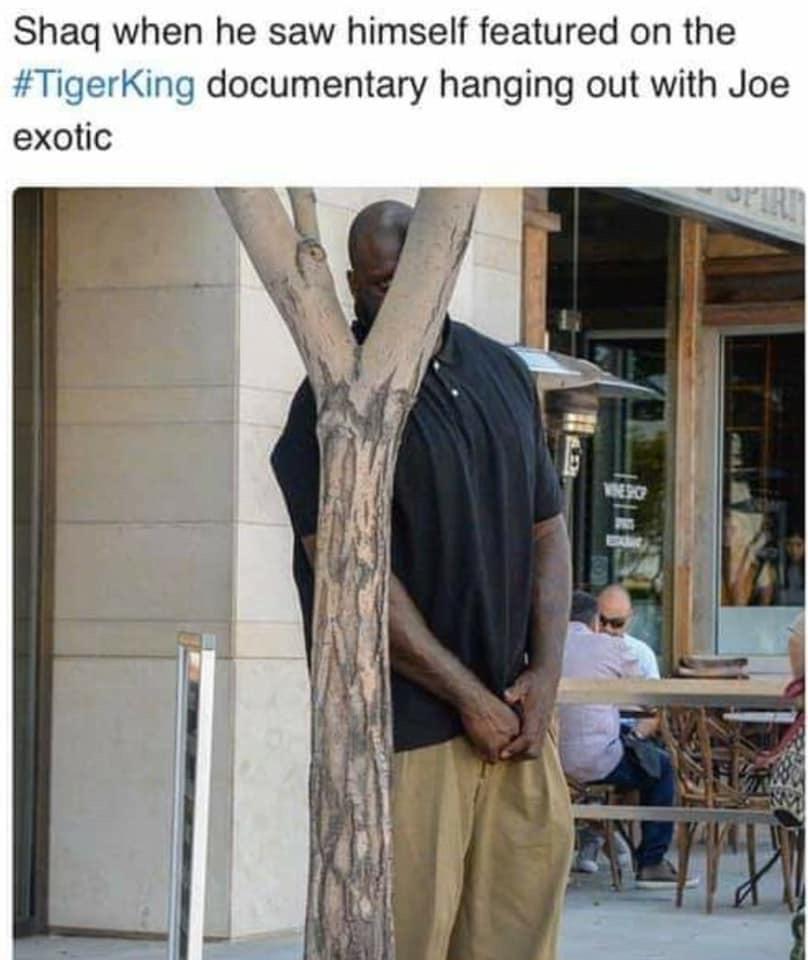 He’s gonna be a real shaqtus now. TigerKing