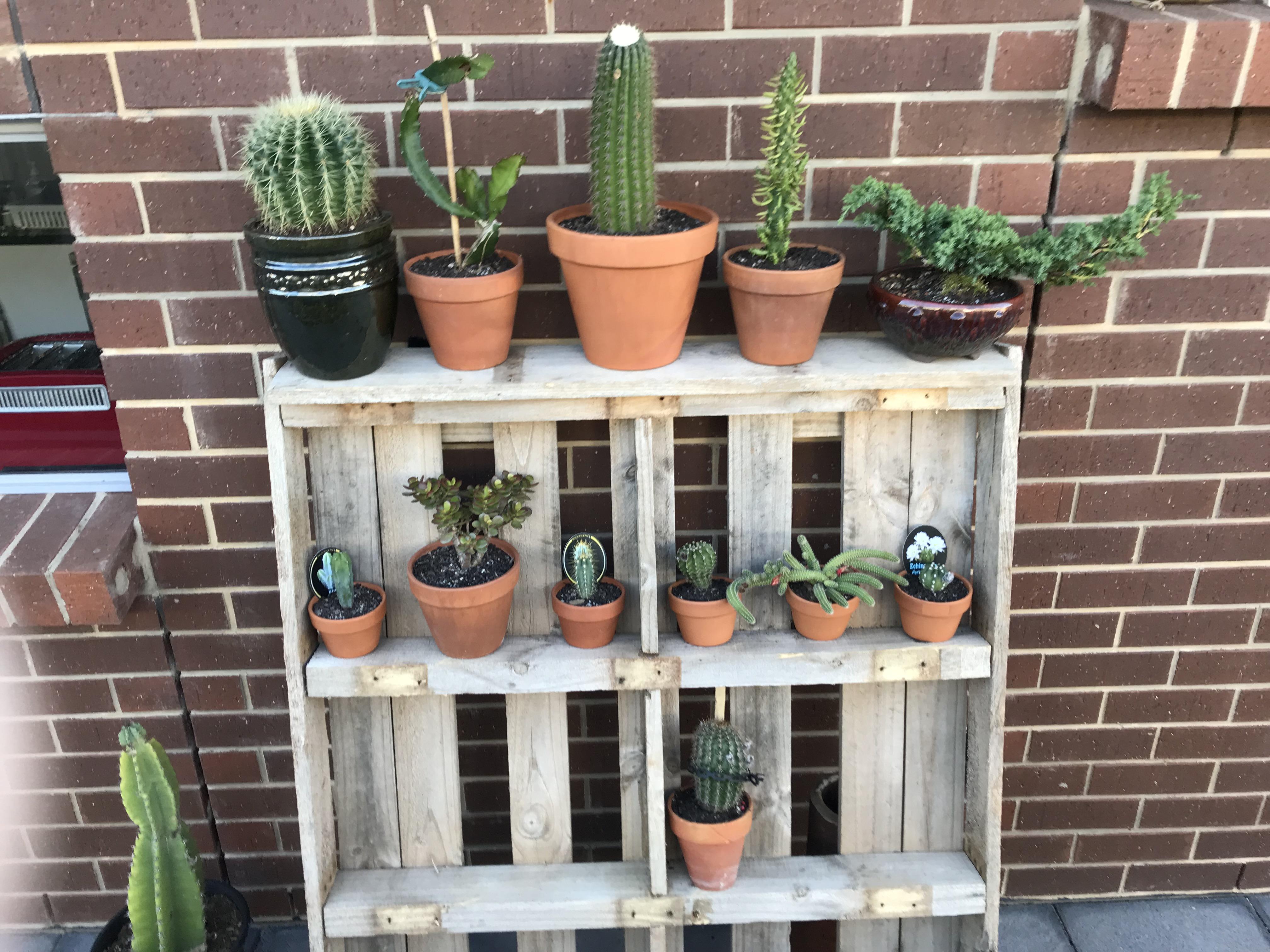 bginn24 (u/bginn24) Reddit