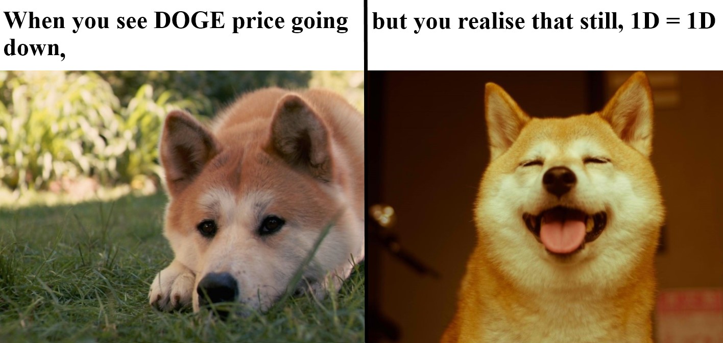 Reddit Dogecoin Price What Is Dogecoin And Why Did Reddit Make It