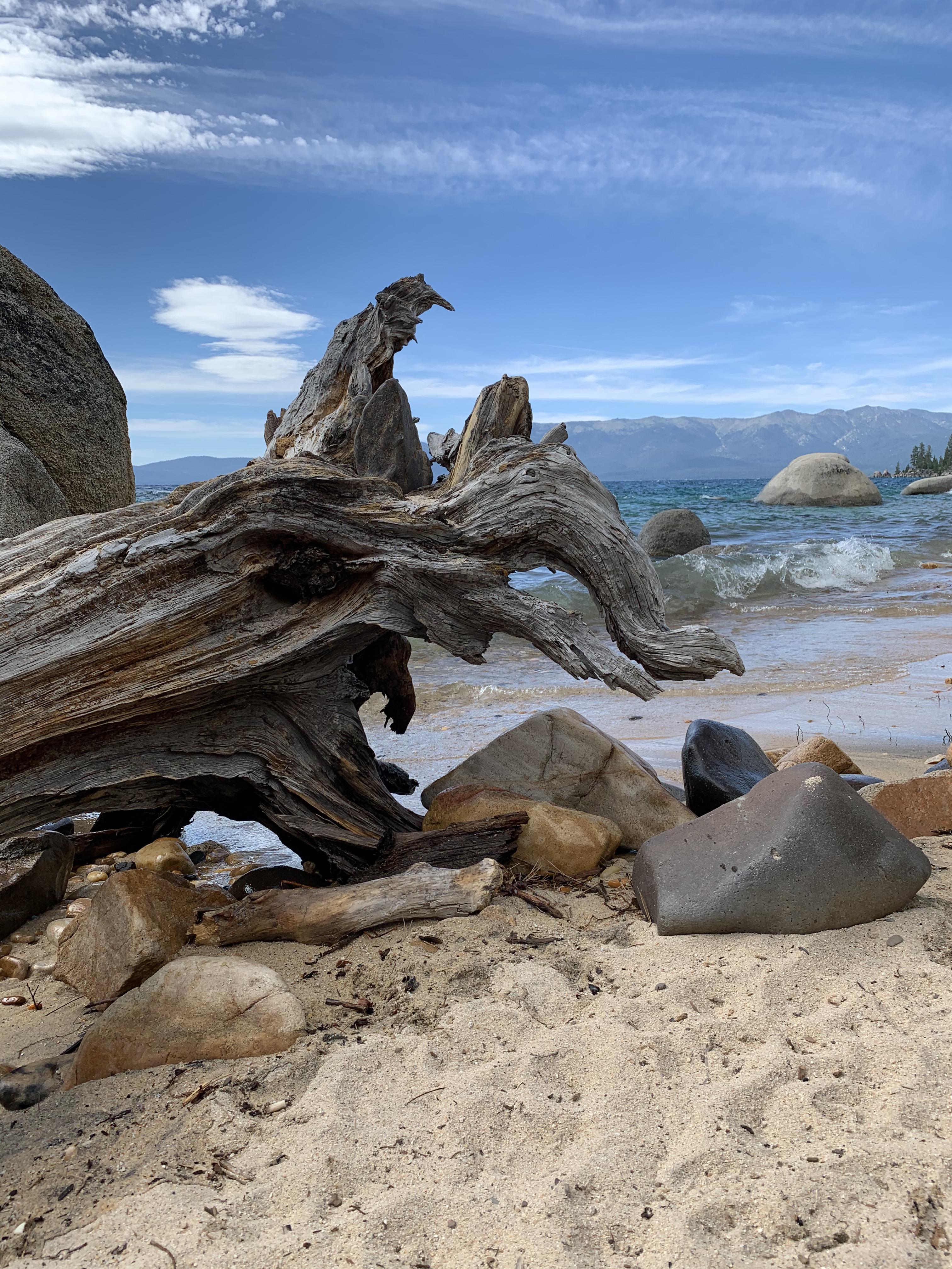 Stopped by whales beach this weekend! r/tahoe