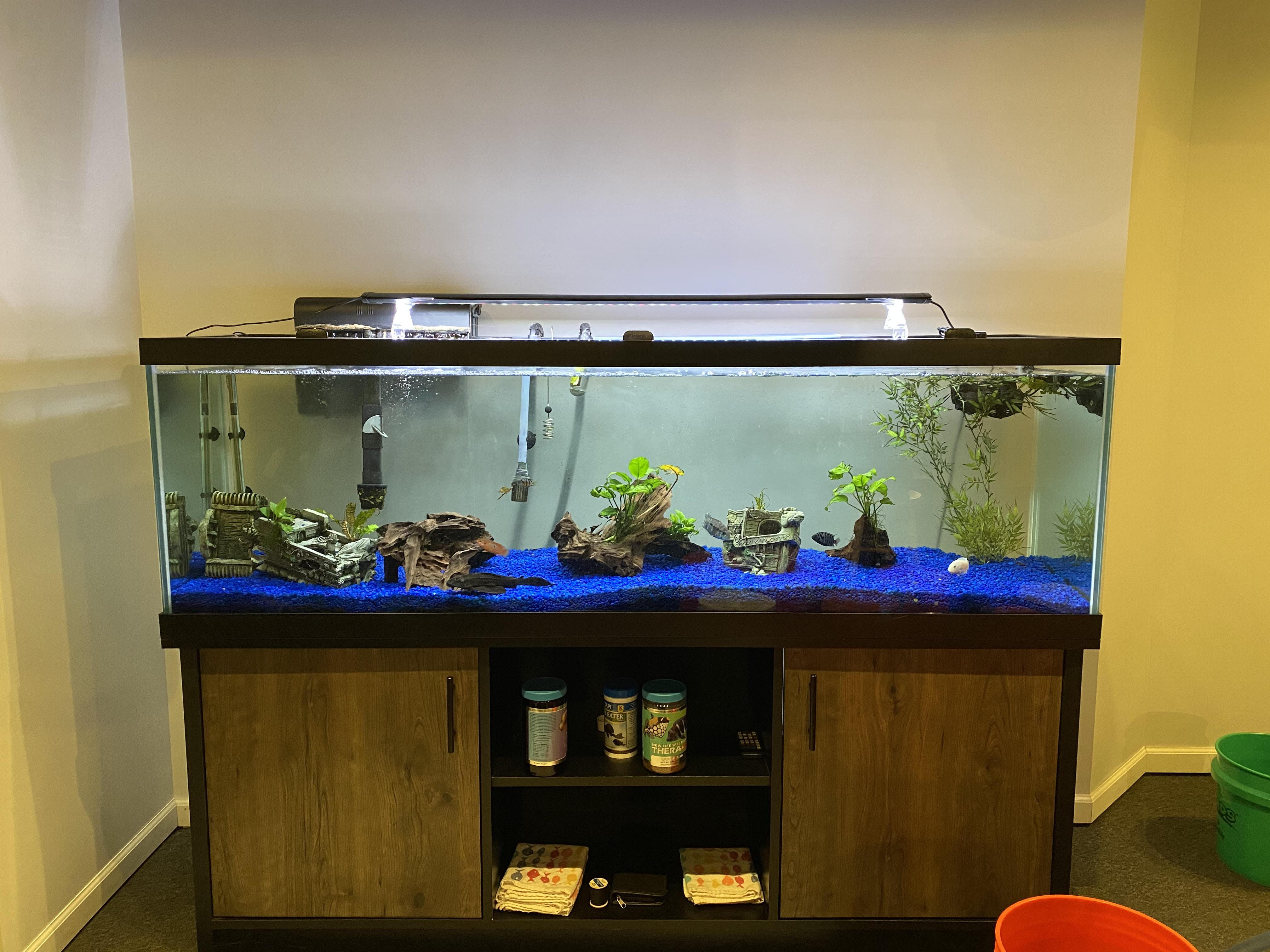 Blue Gravel to Black Diamond Blasting Sand r/Aquariums