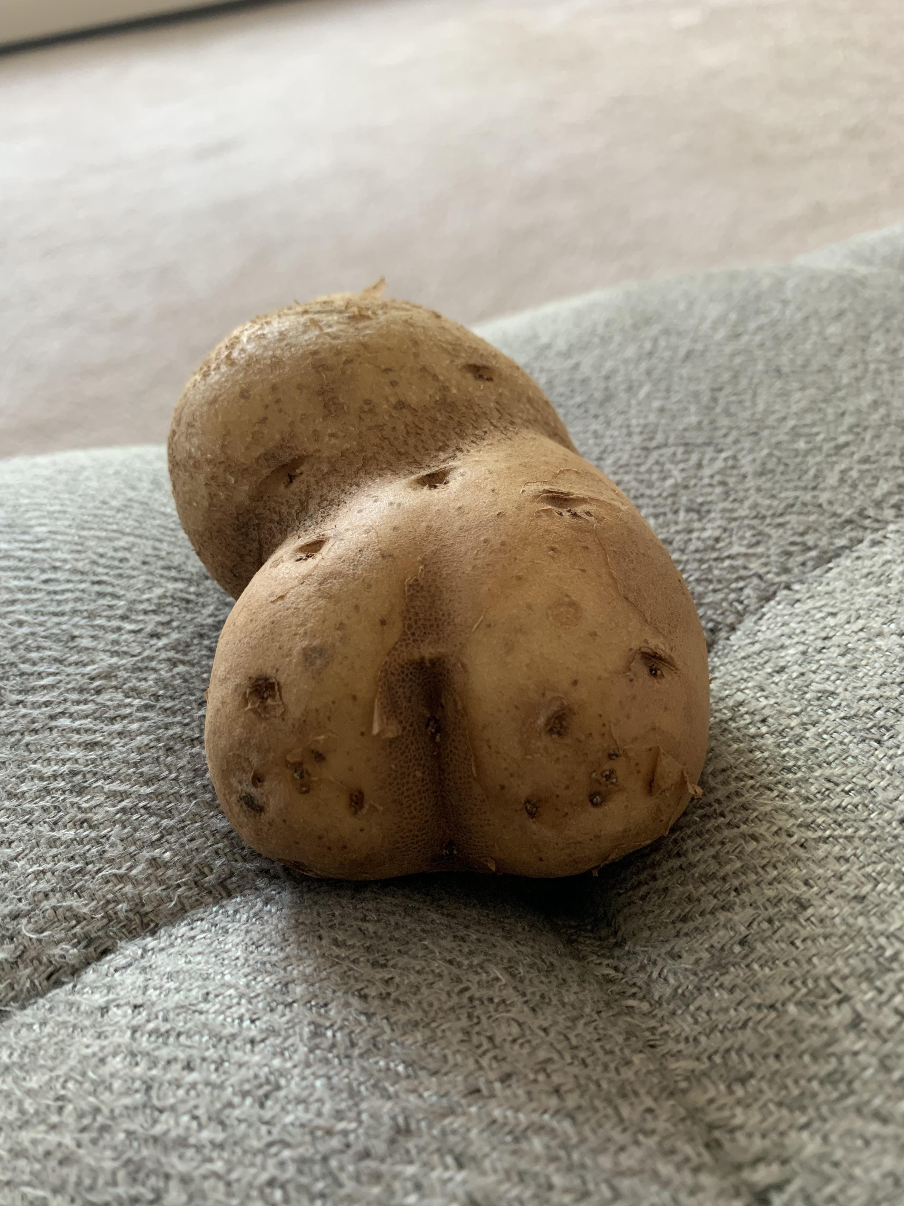 Potato I found mildlyinteresting