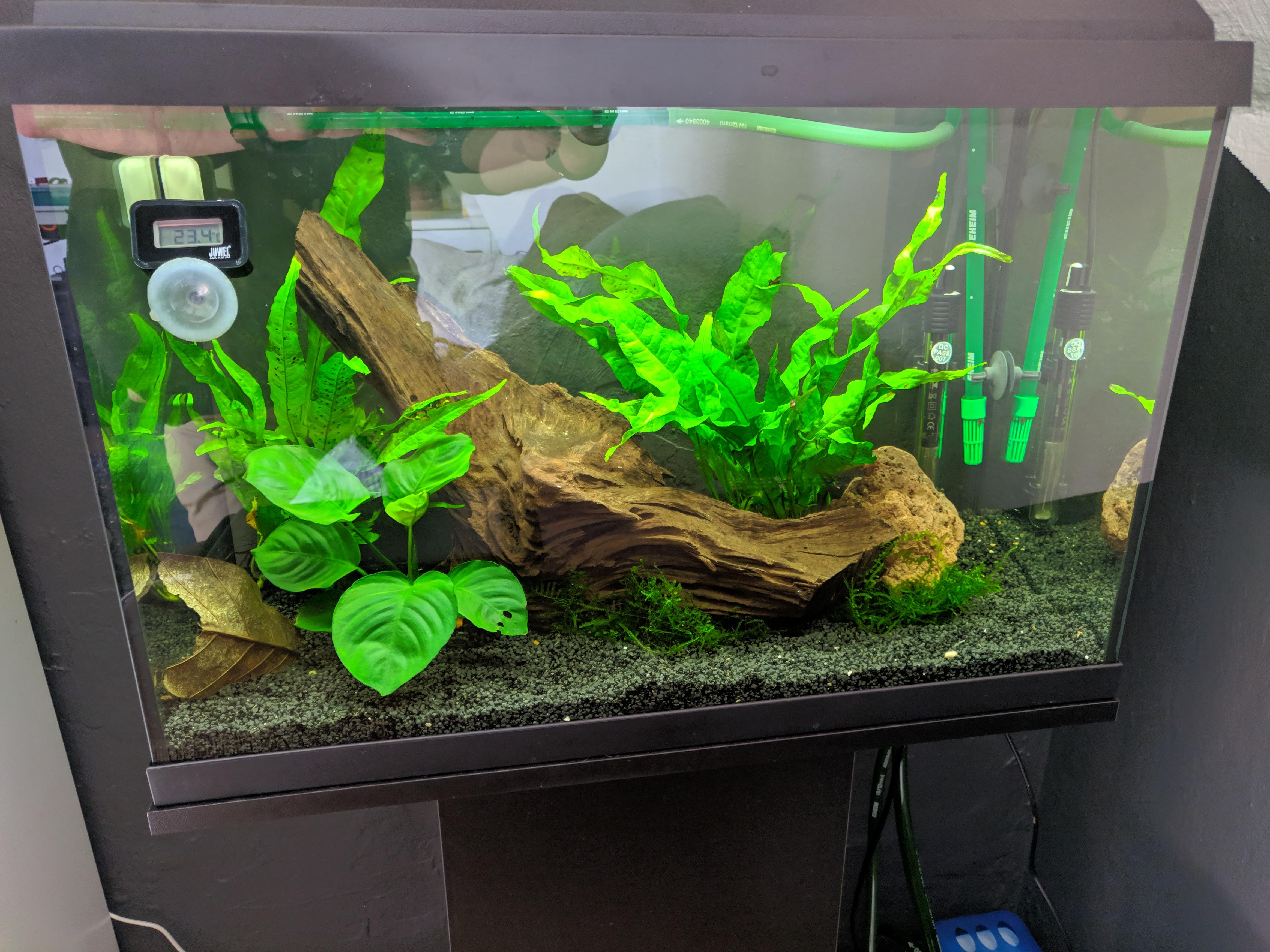 80 Gallons In Litres malaybuibui