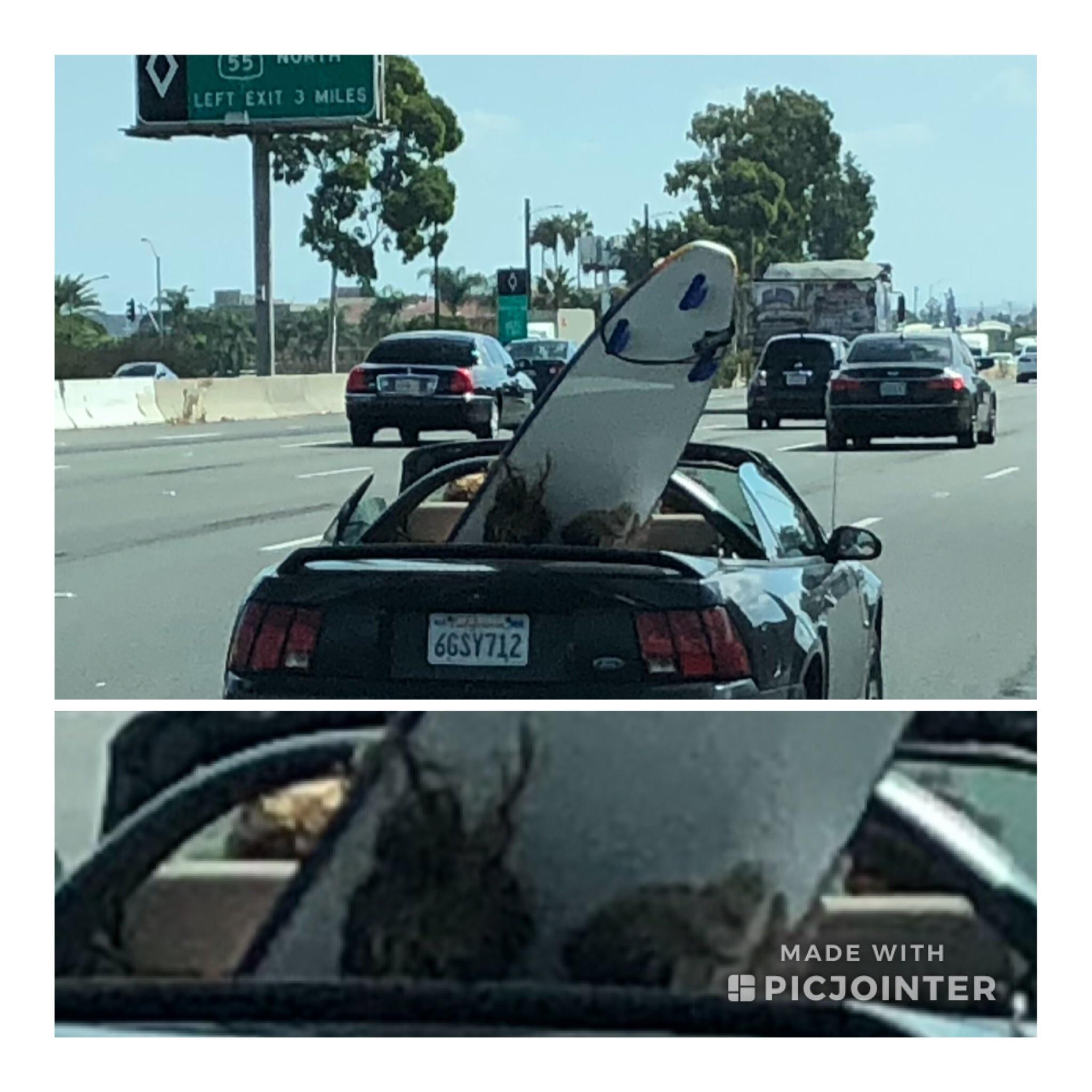 4 idiots in car. Look close. r/IdiotsInCars