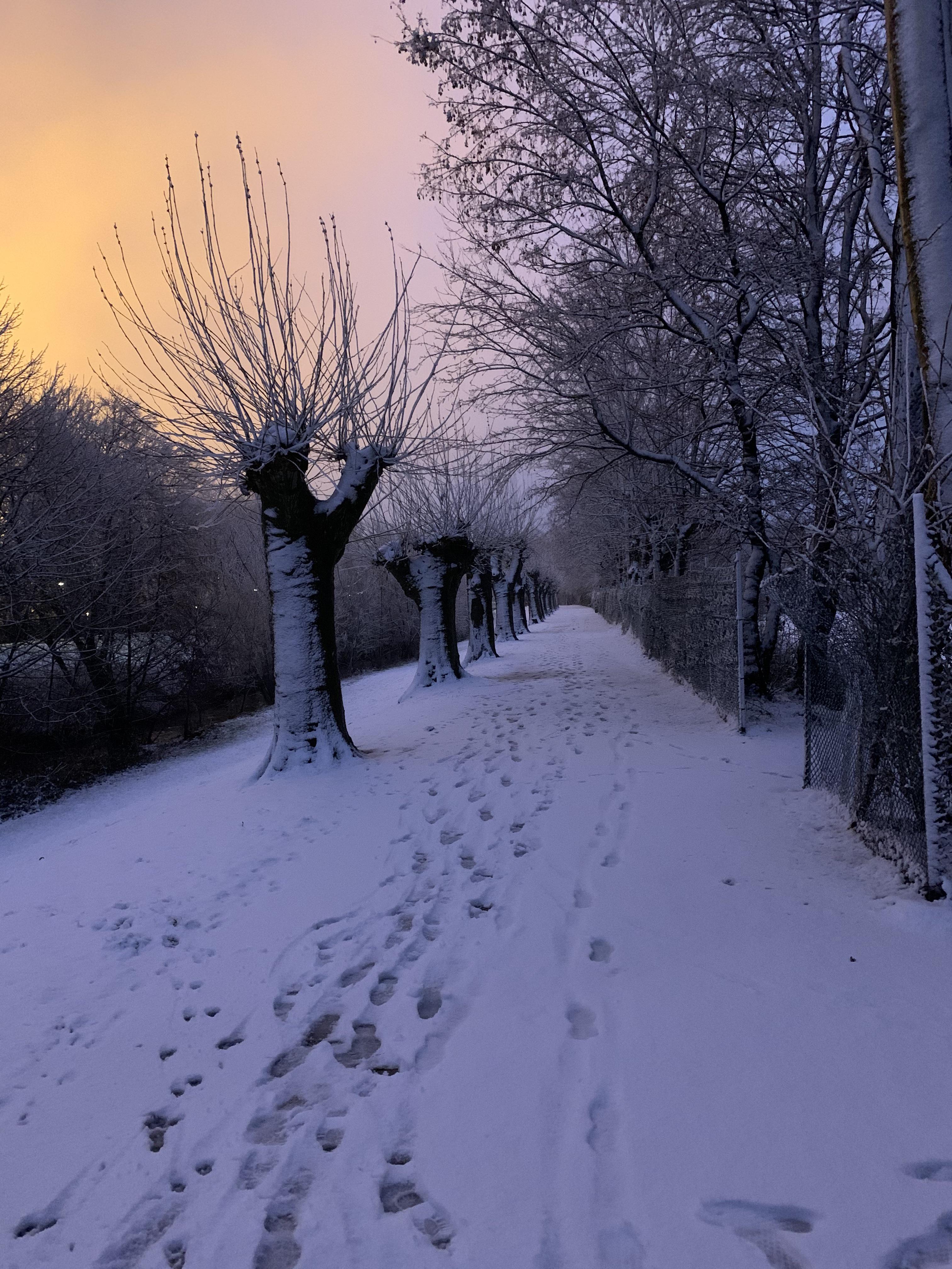 Experienced my first snowfall in Leverkusen r/germany