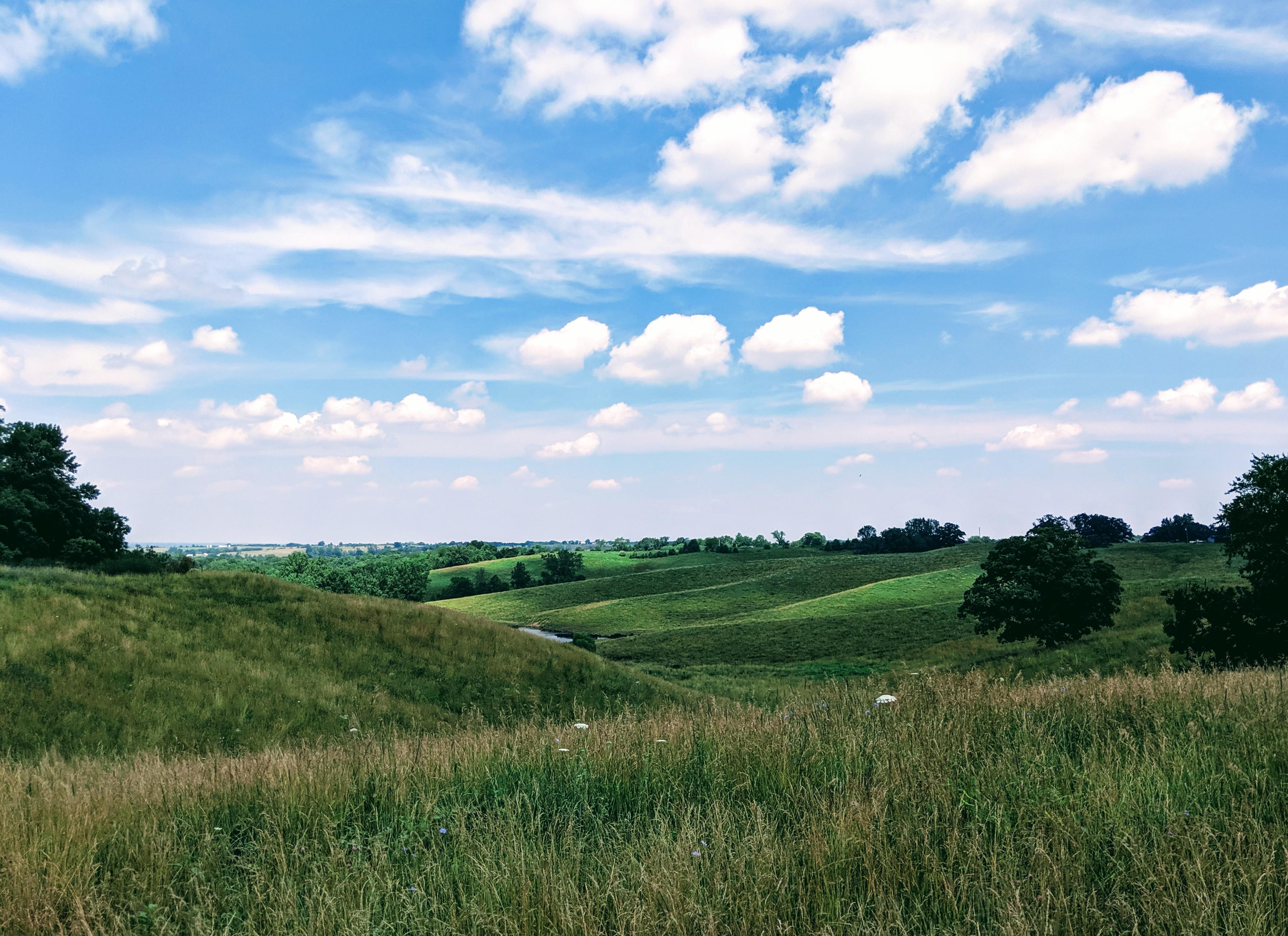The hillsides of rural Missouri. I adore these hills, y'all. [3739x2717