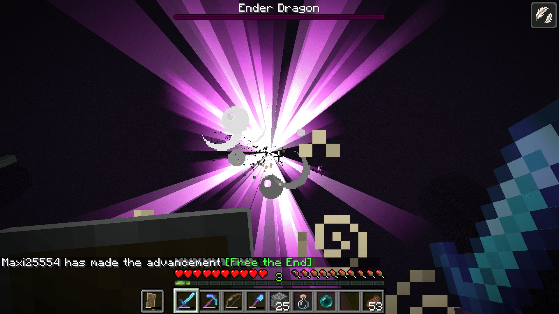 I DID IT! I KILLED THE ENDER DRAGON!!!! r/gaming