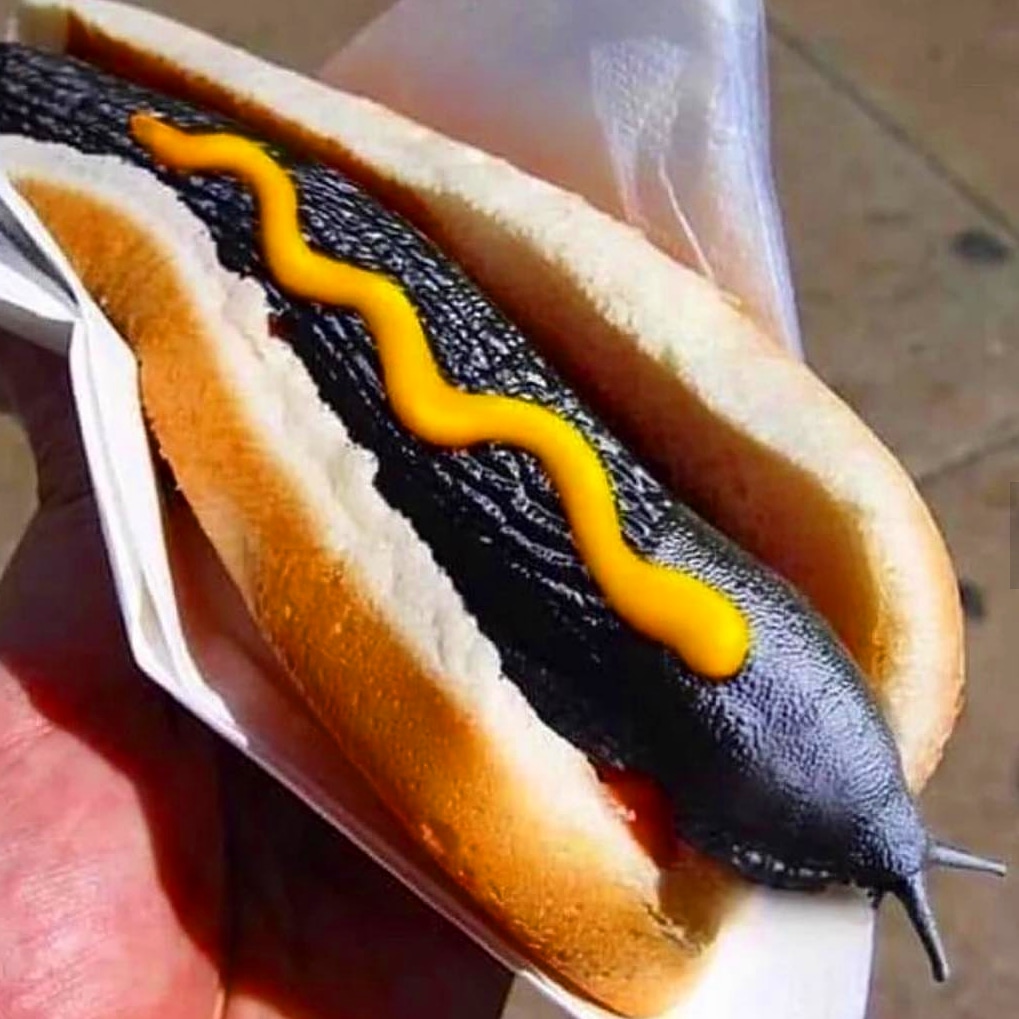 Cursed hot dog r/Cursed_Images