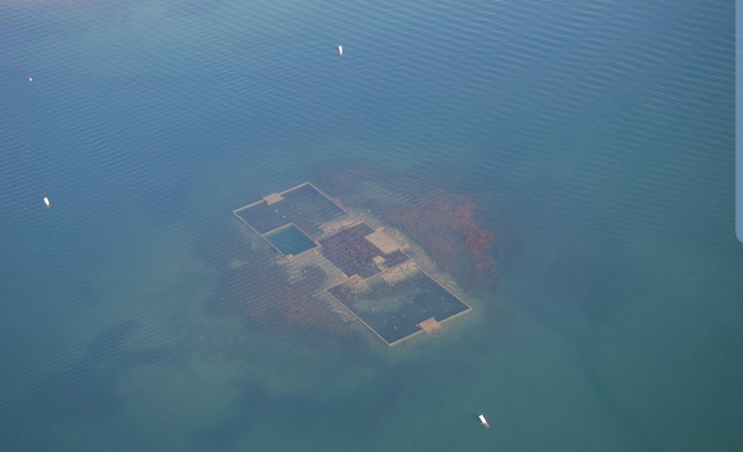 The remnants of the school of Willow Grove a town that was sunken in