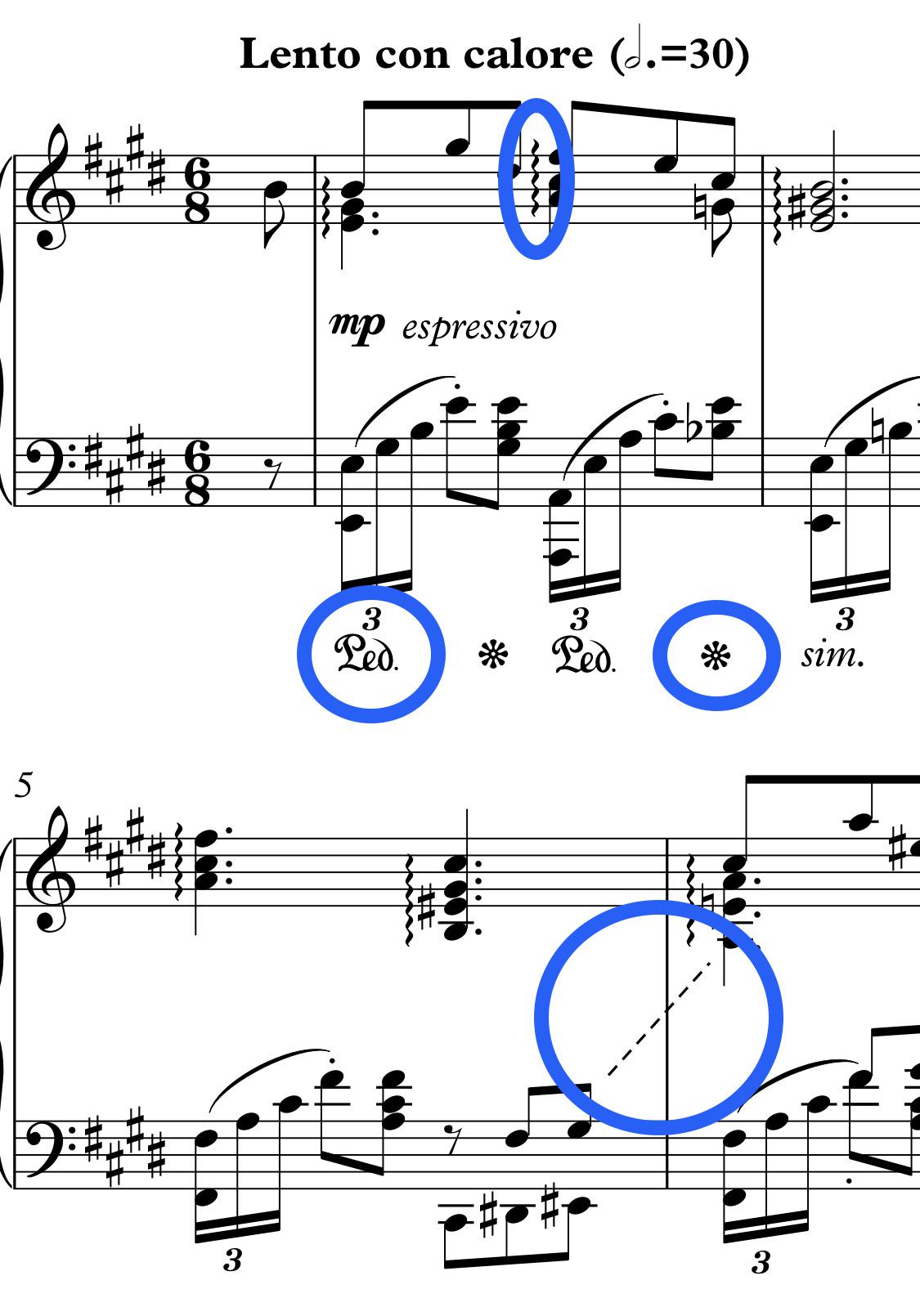 Hi, I am new with the sustain pedal, and I don’t have much idea what