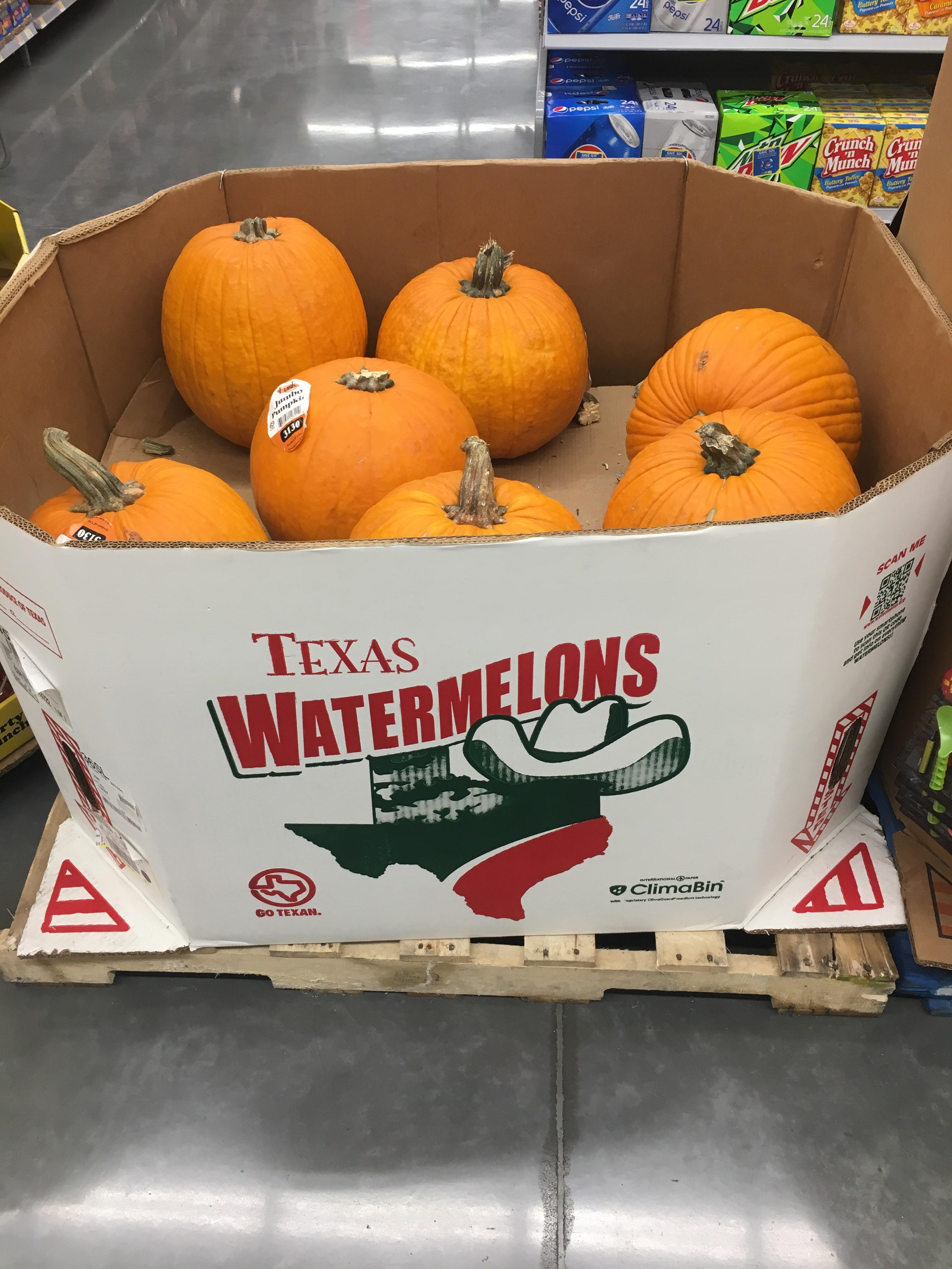 Some Mighty fine Texas melons 🍉 r/texas